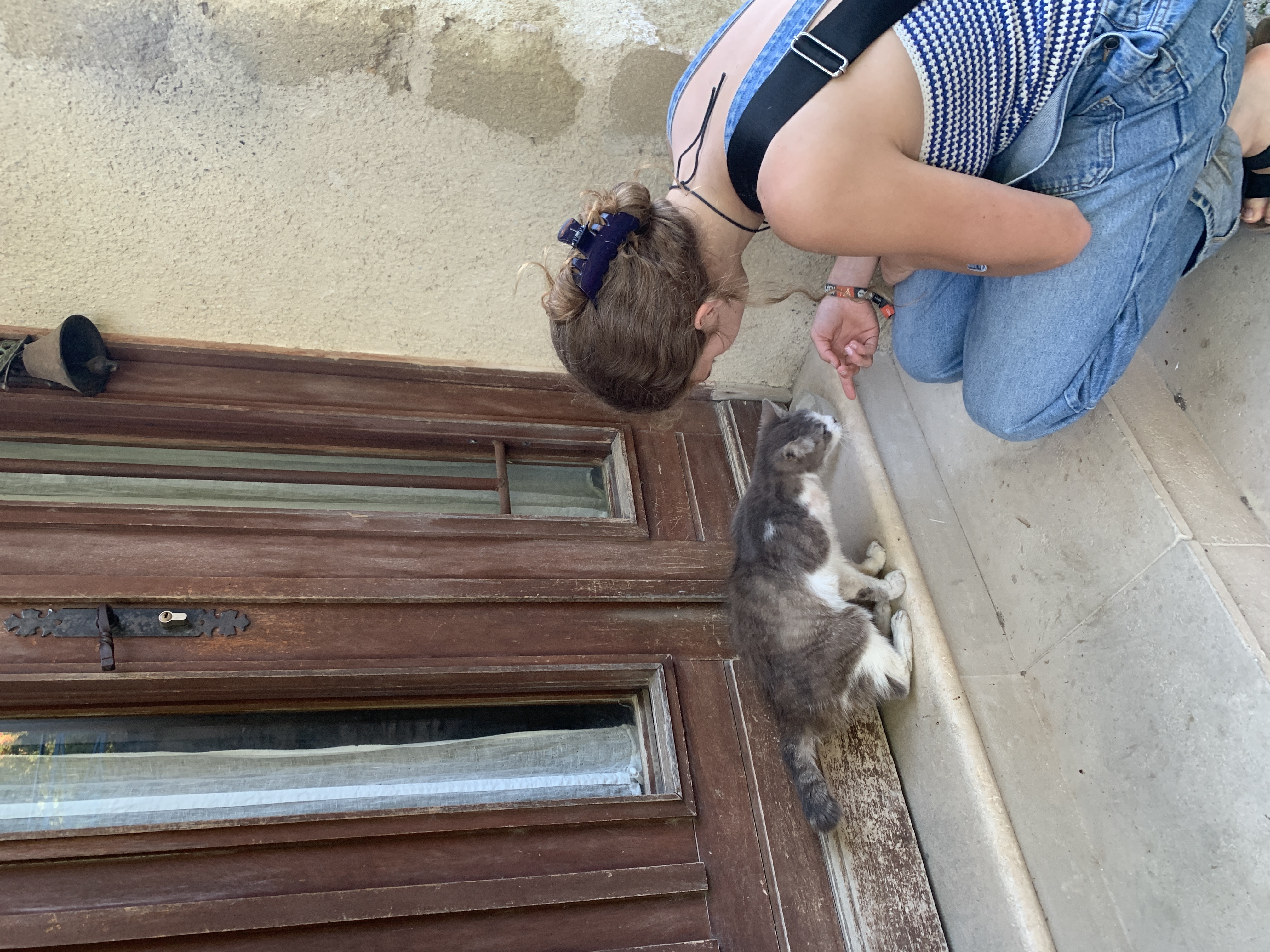 image-5