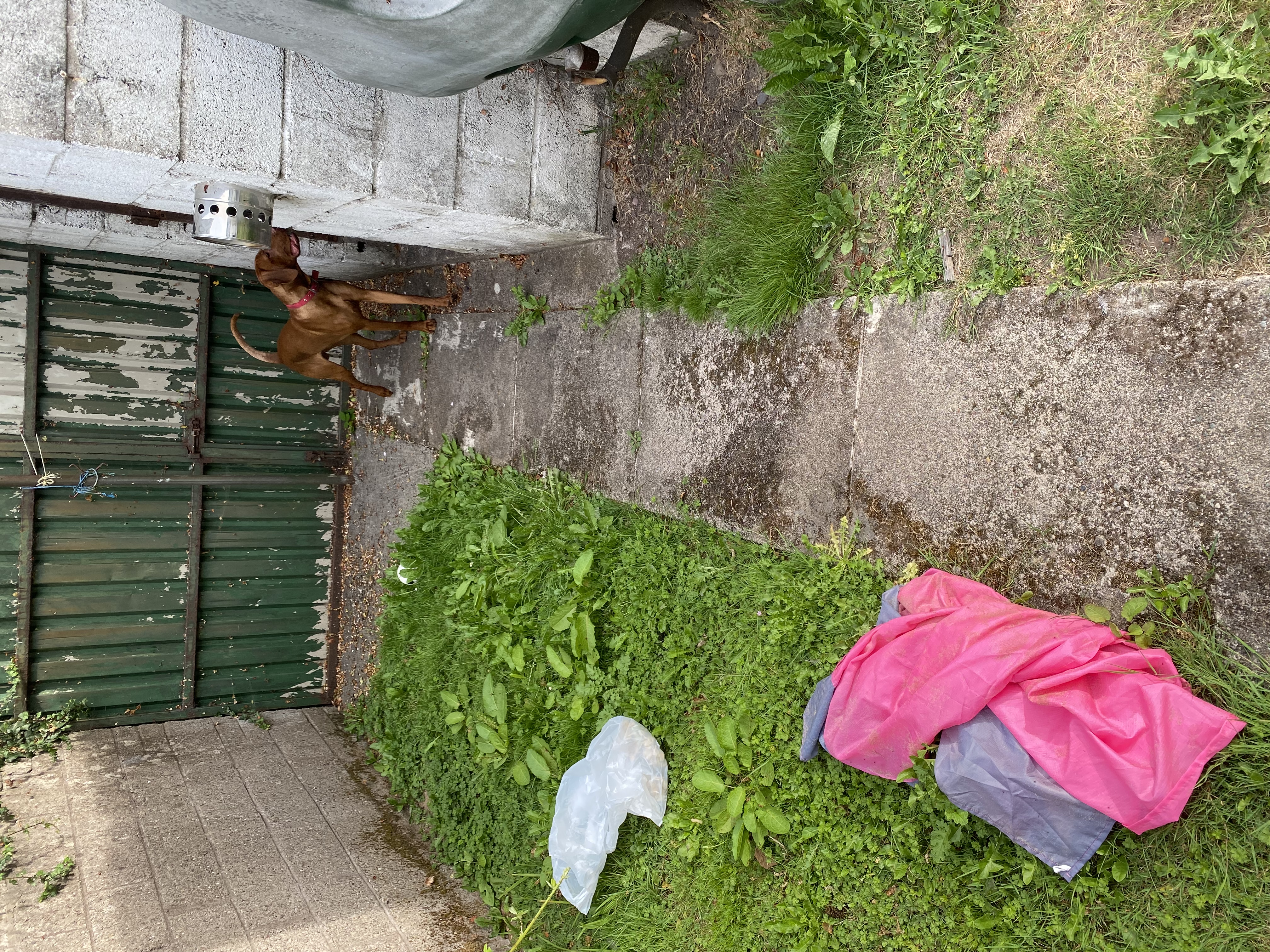 image-9