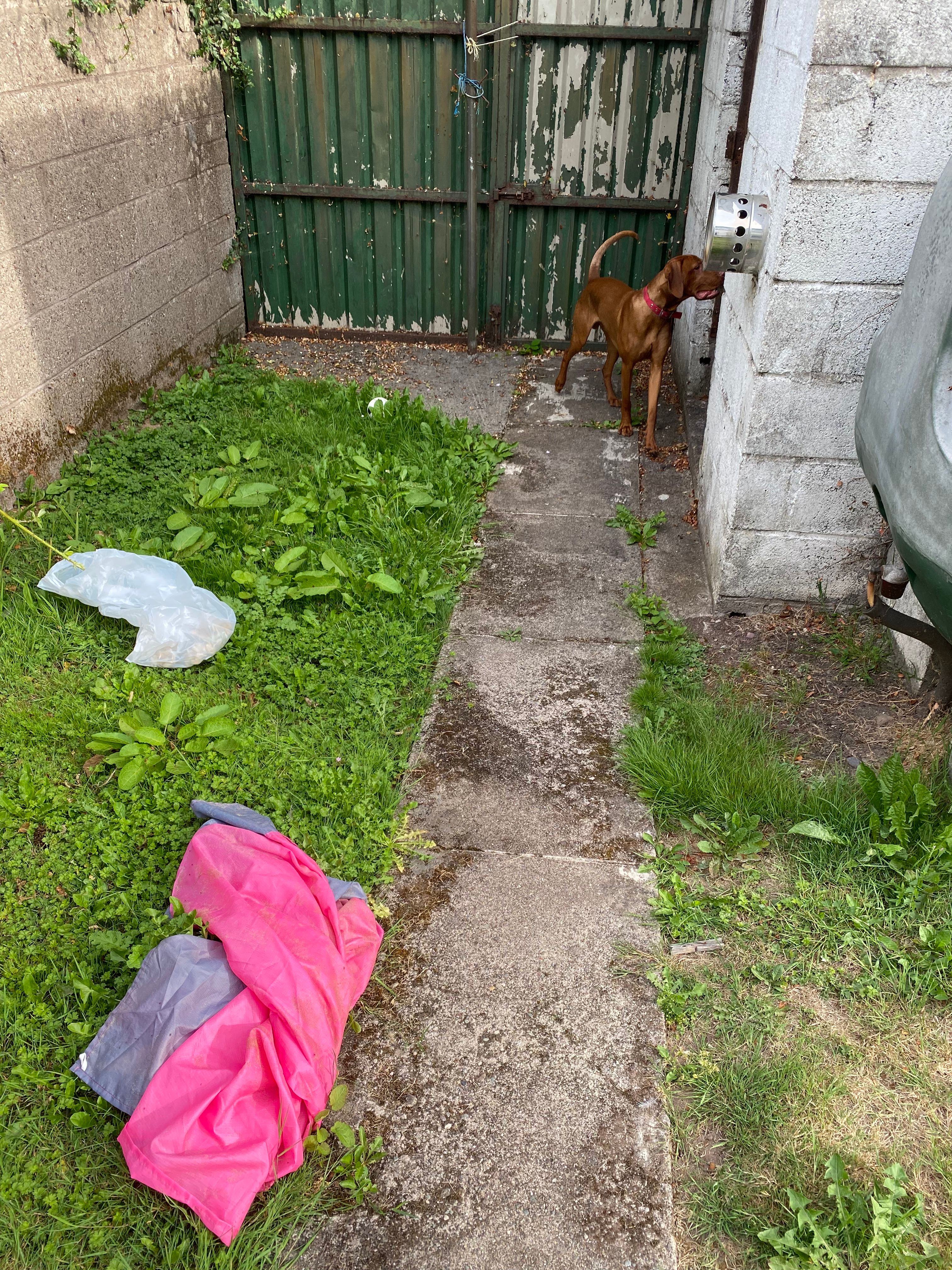 image-9
