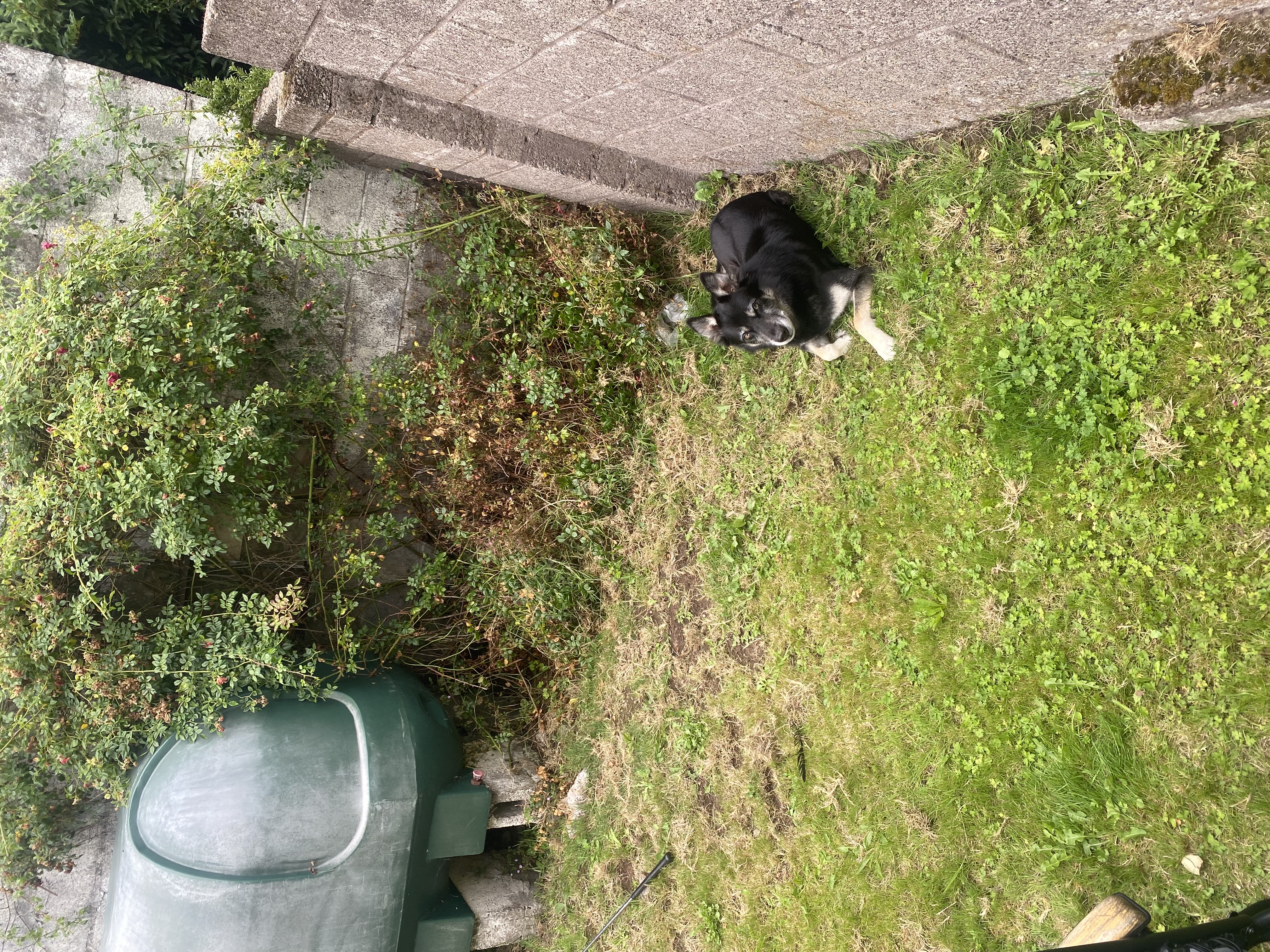 image-7