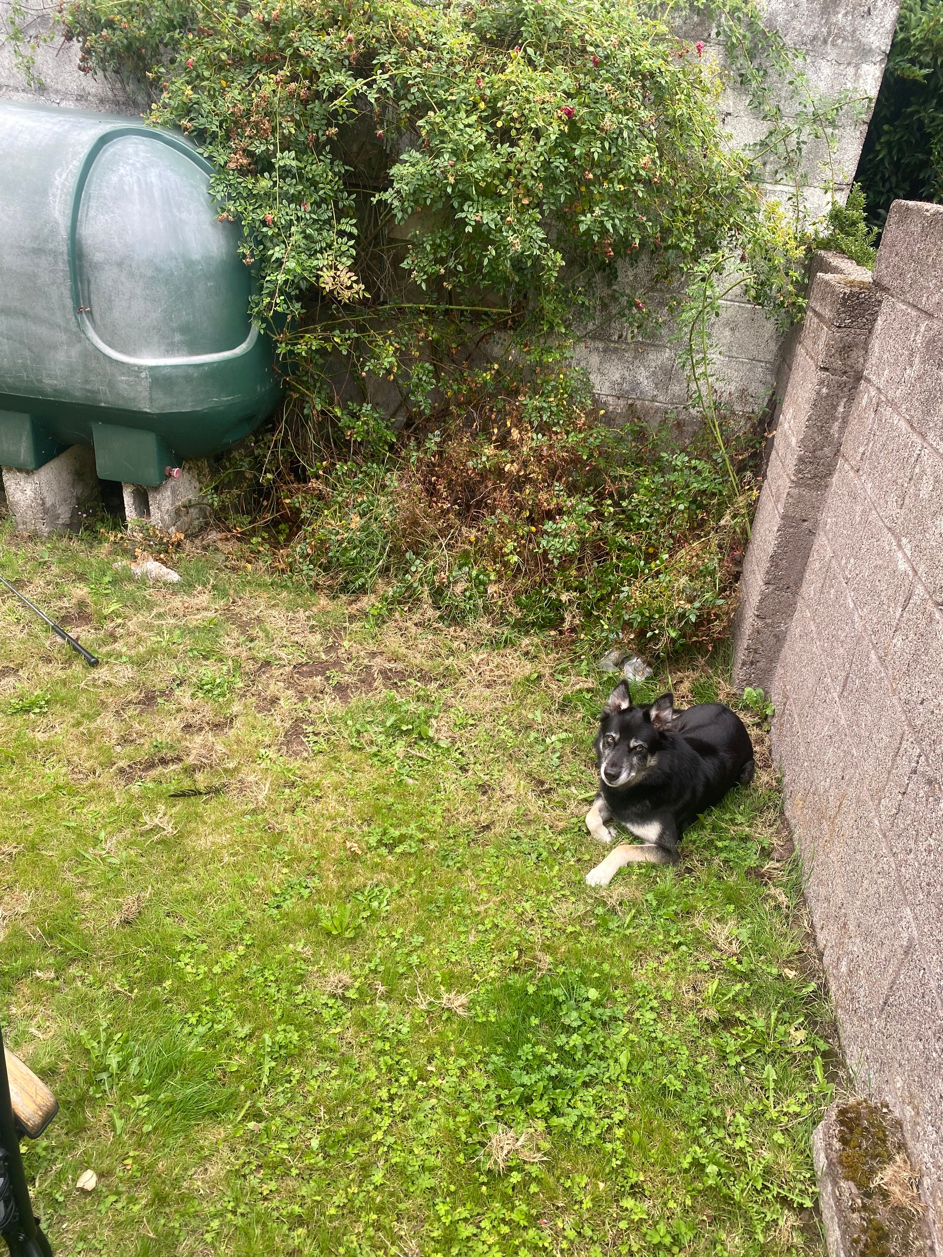 image-7