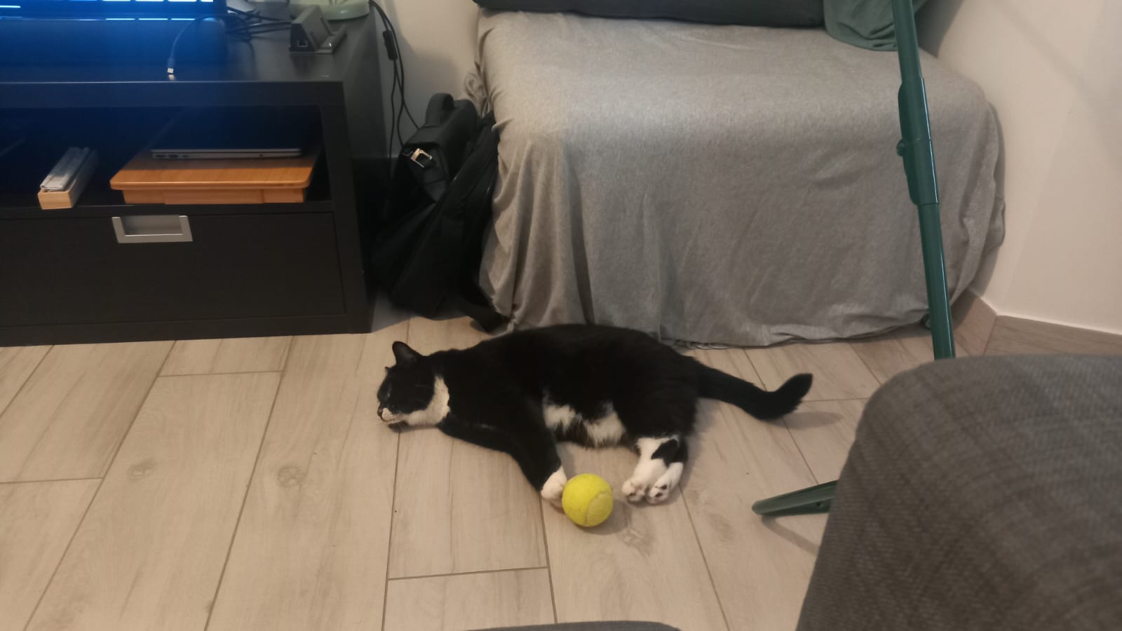 image-10
