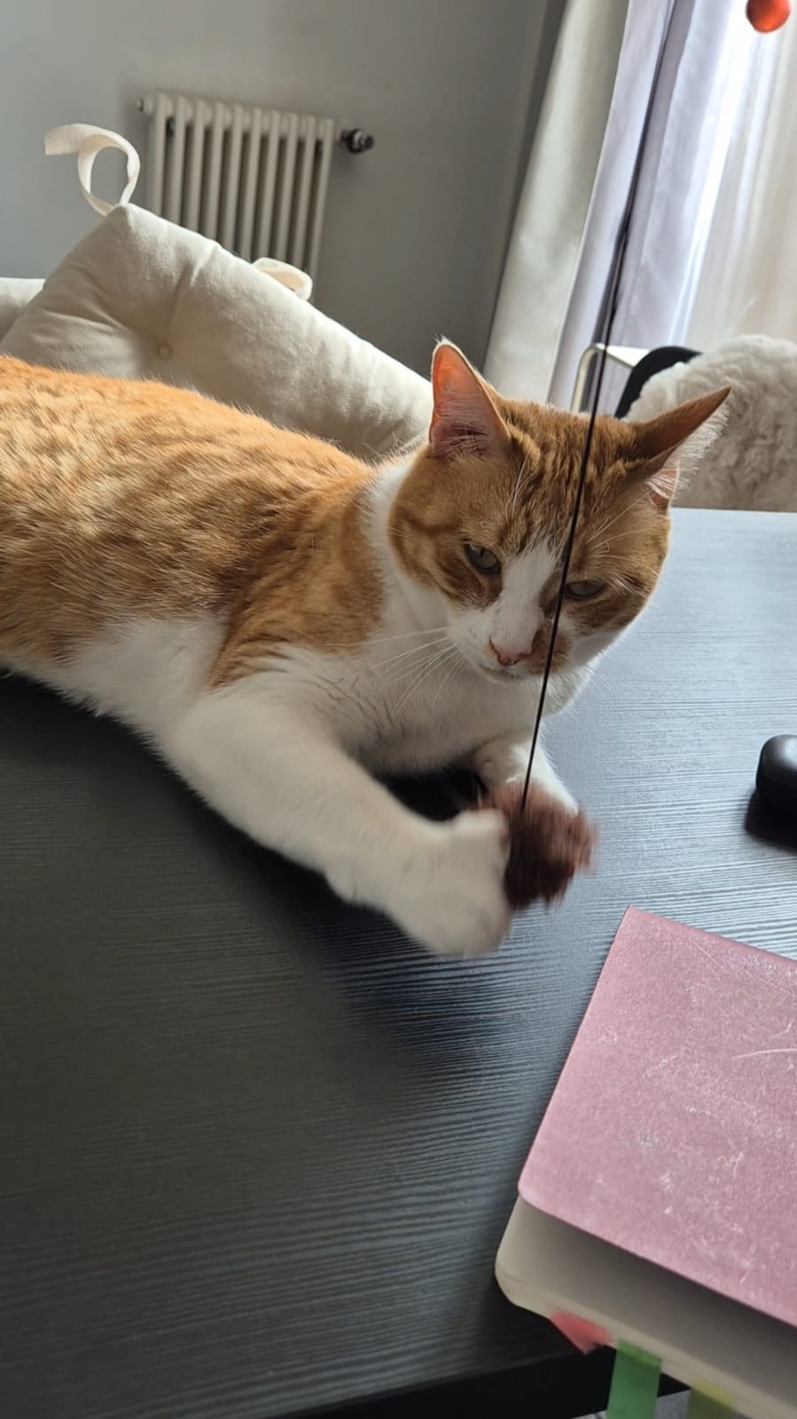 image-9