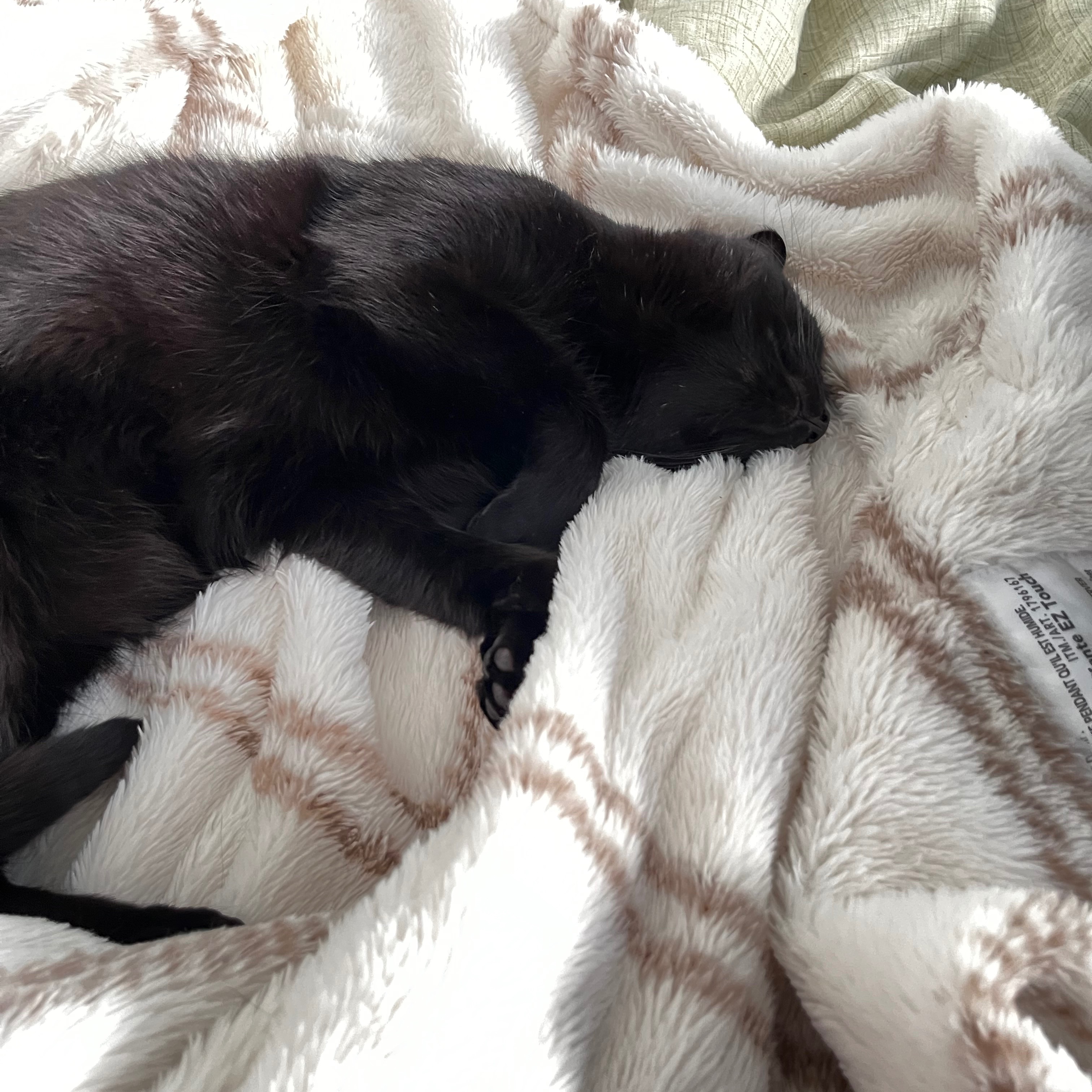 Tux