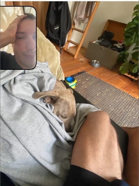 image-6