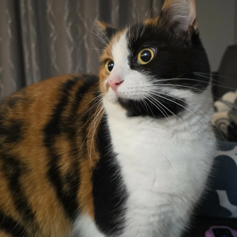 Luna