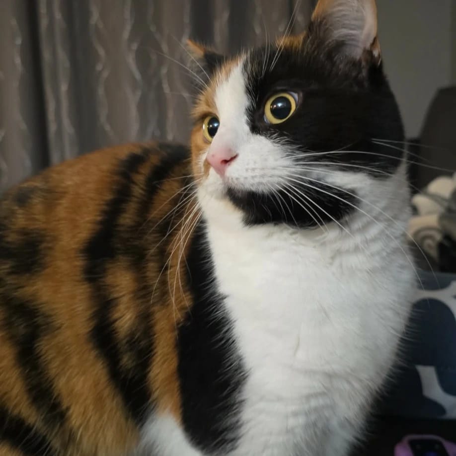Luna