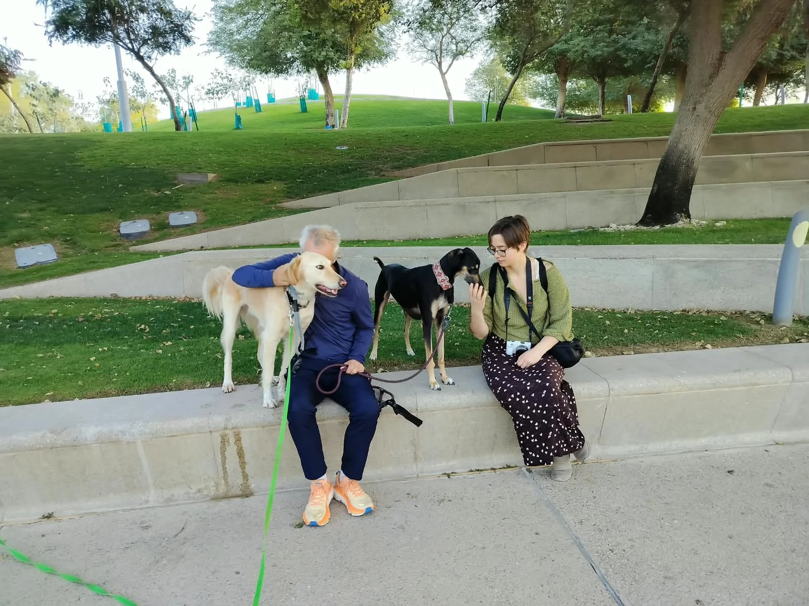 image-6