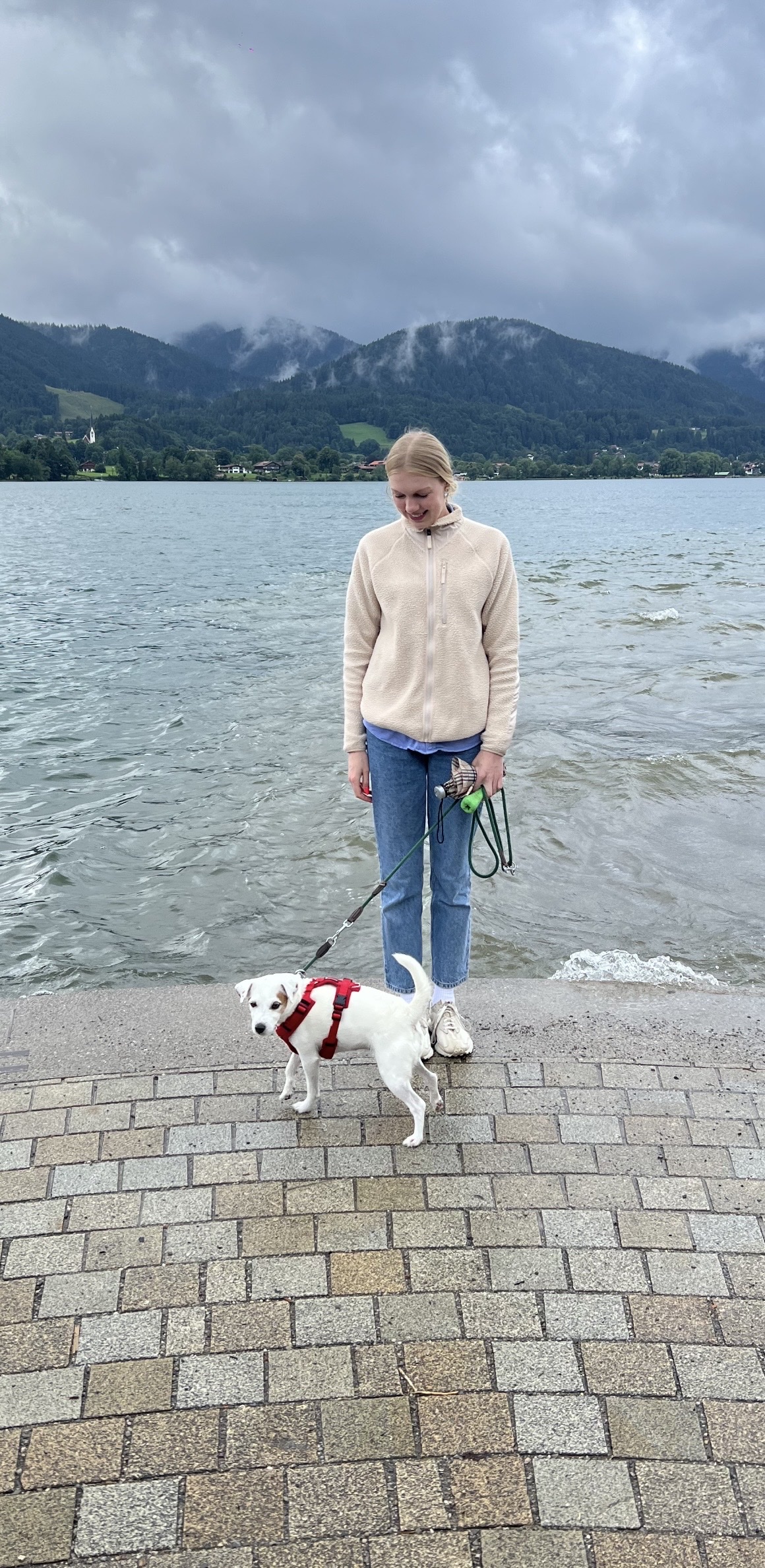 image-6