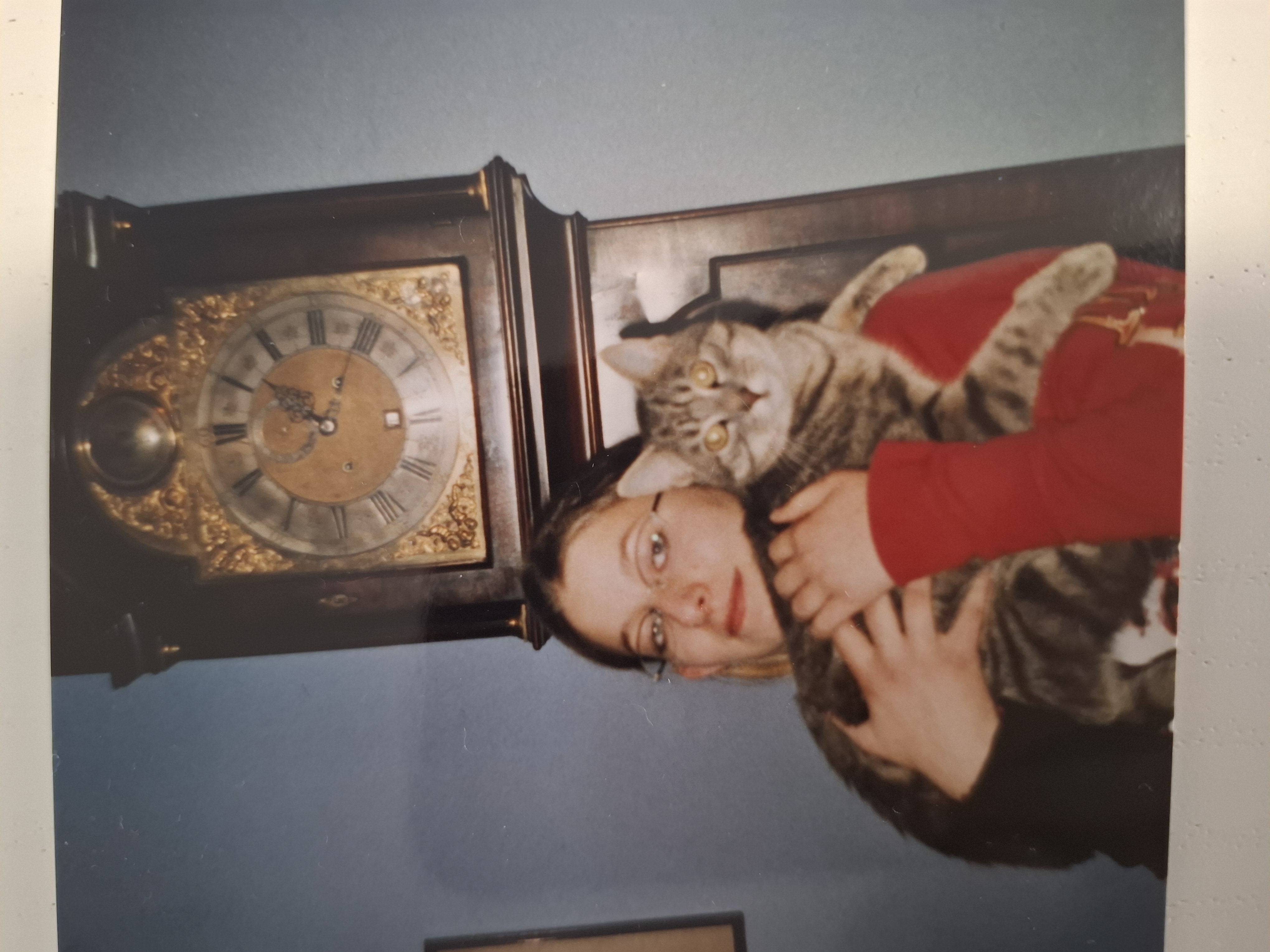 image-2