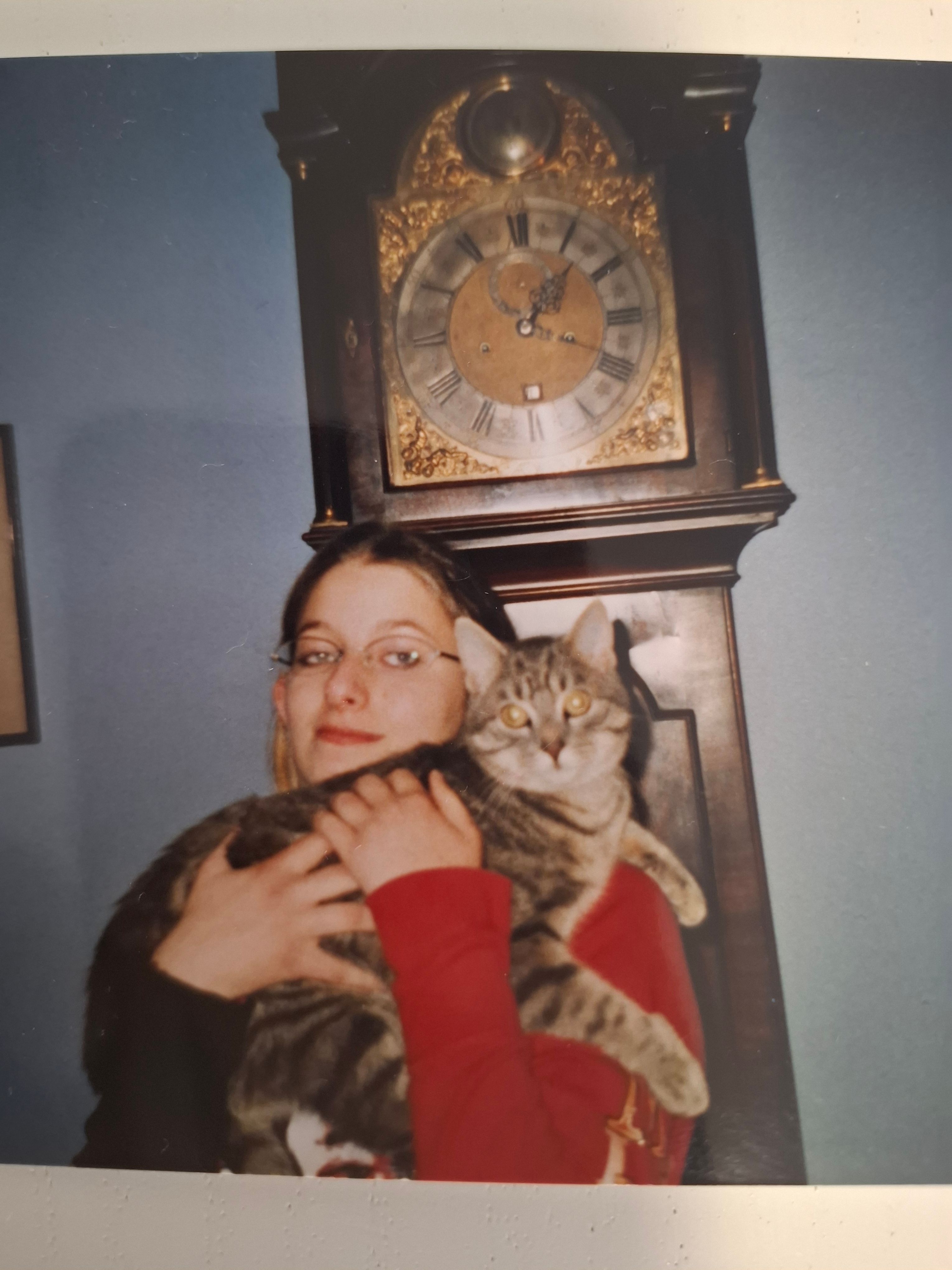 image-2