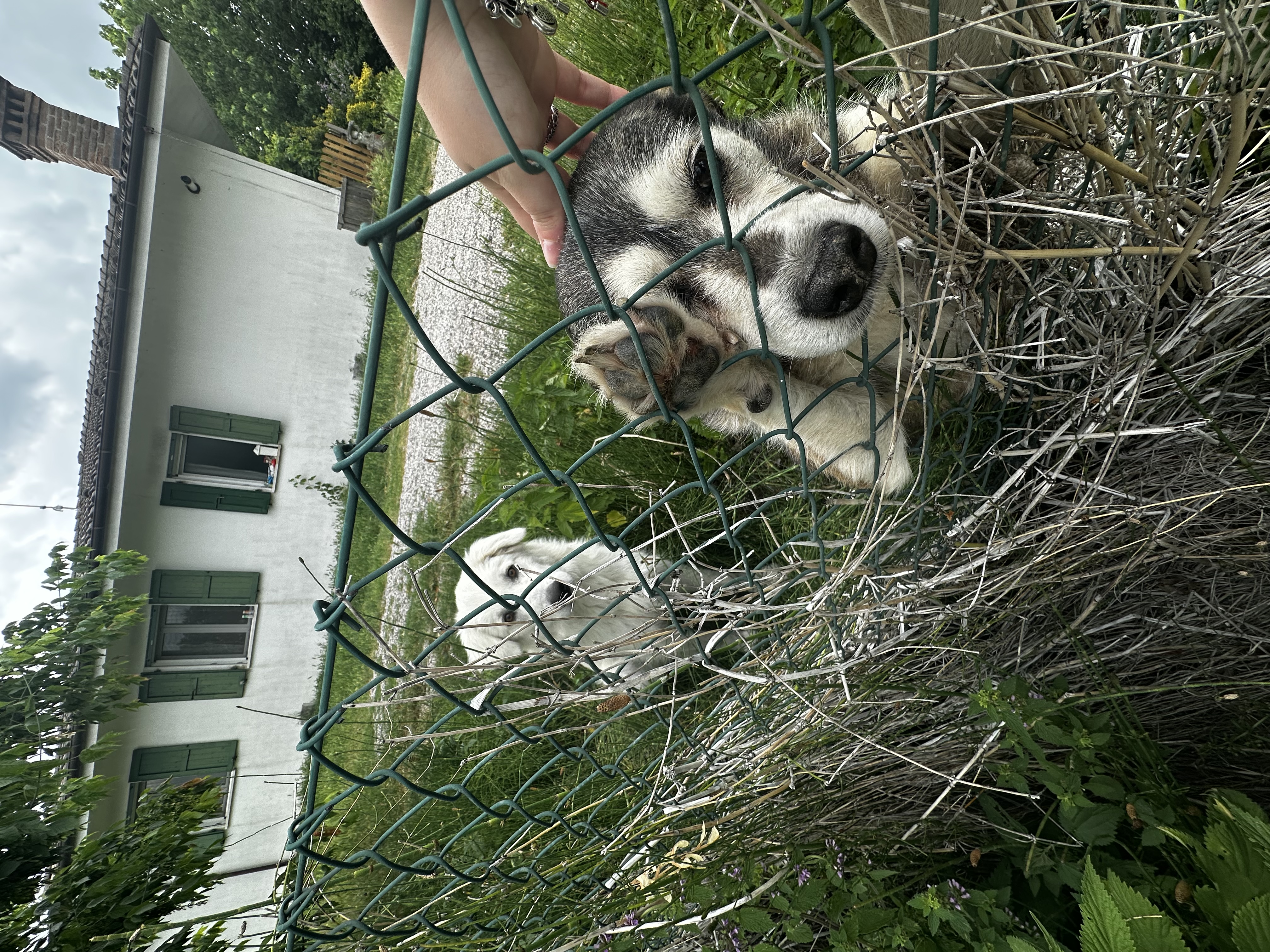 image-6