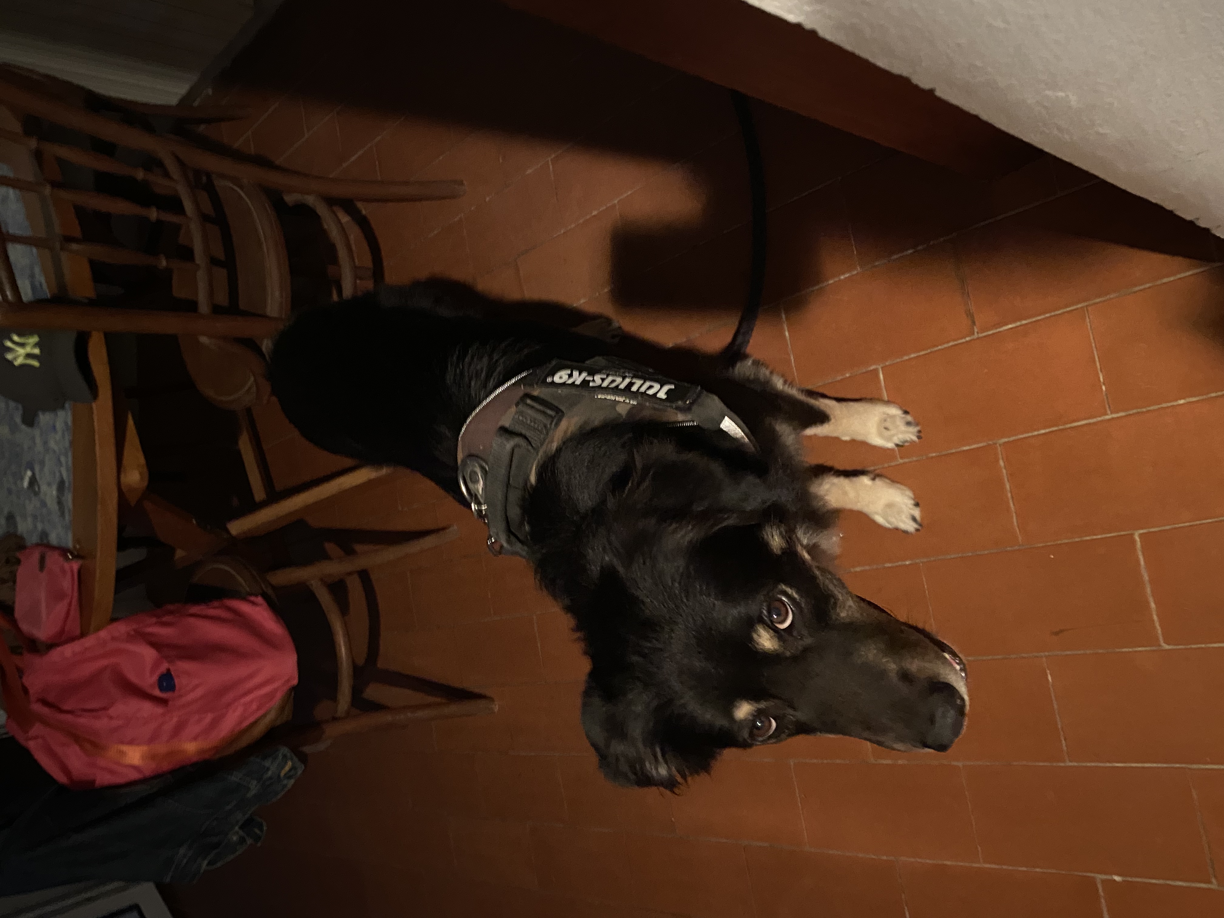 image-9
