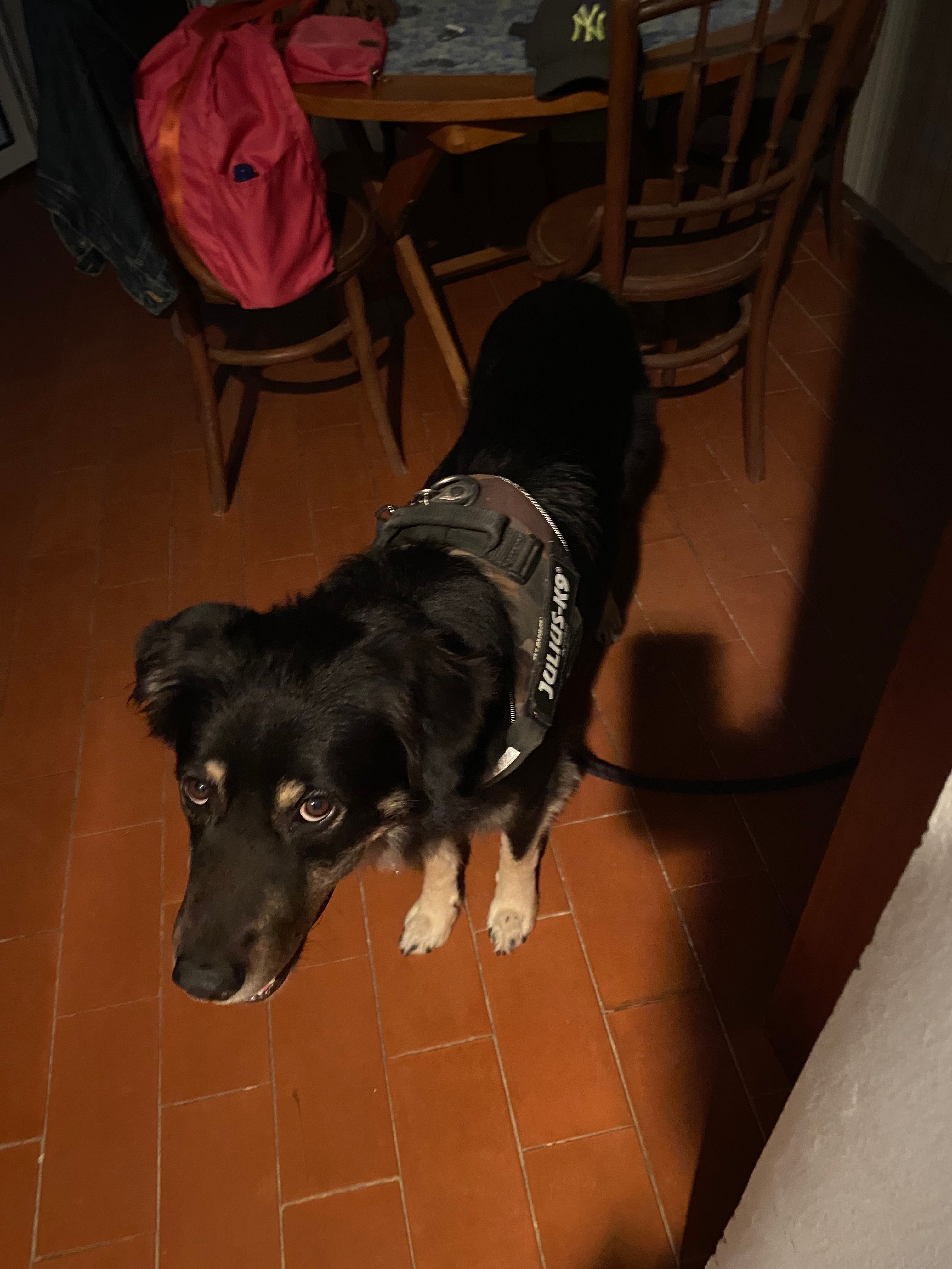 image-9