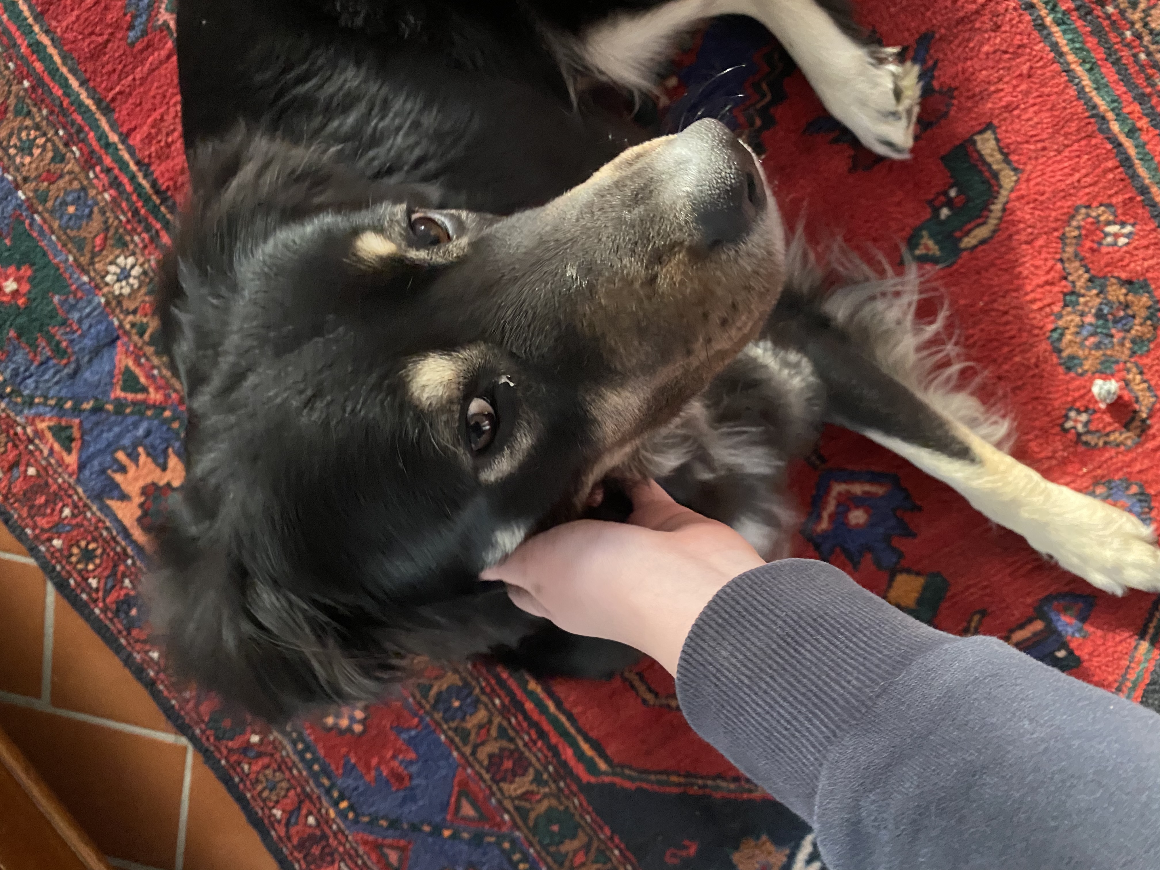 image-8