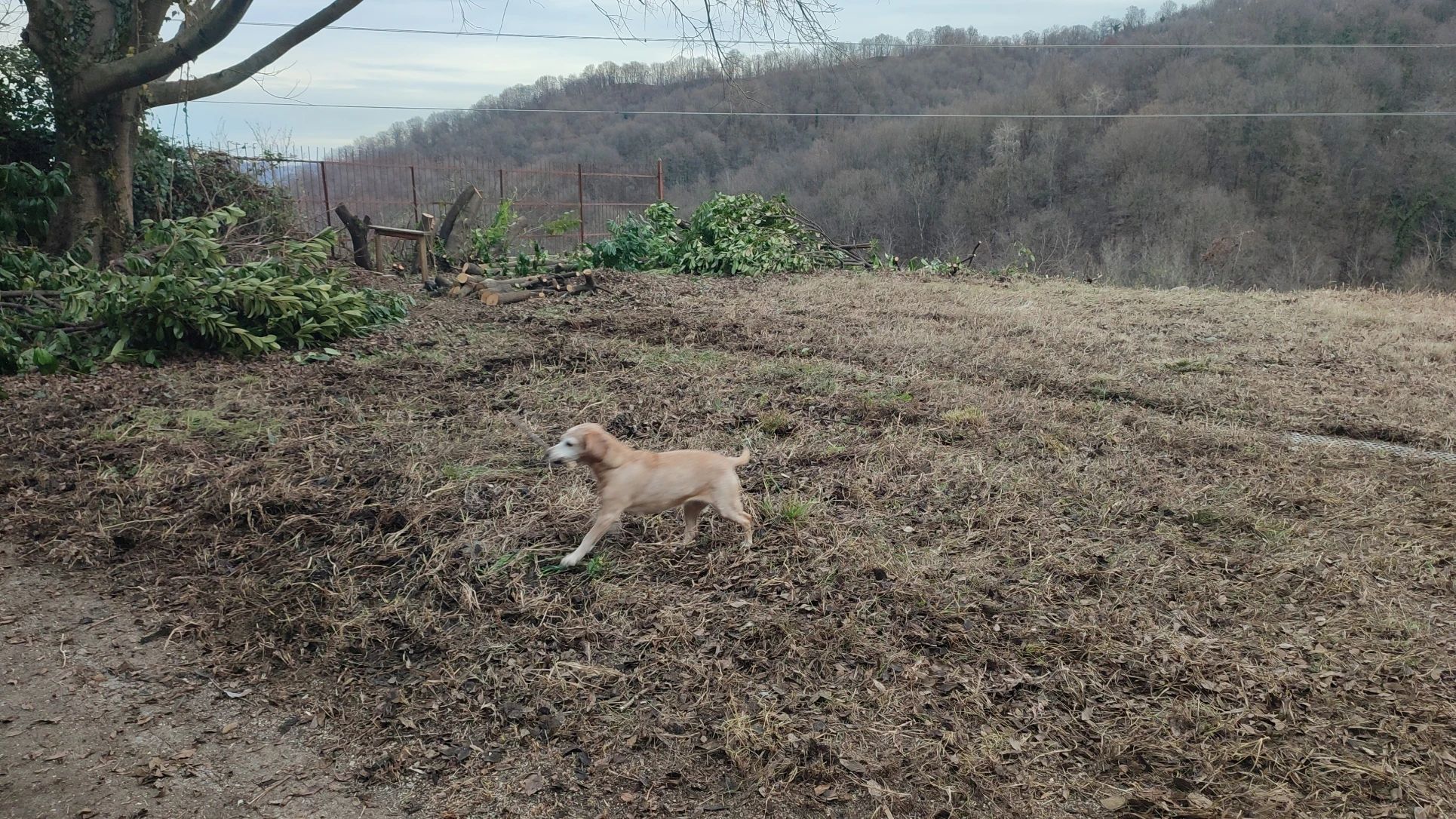 image-16
