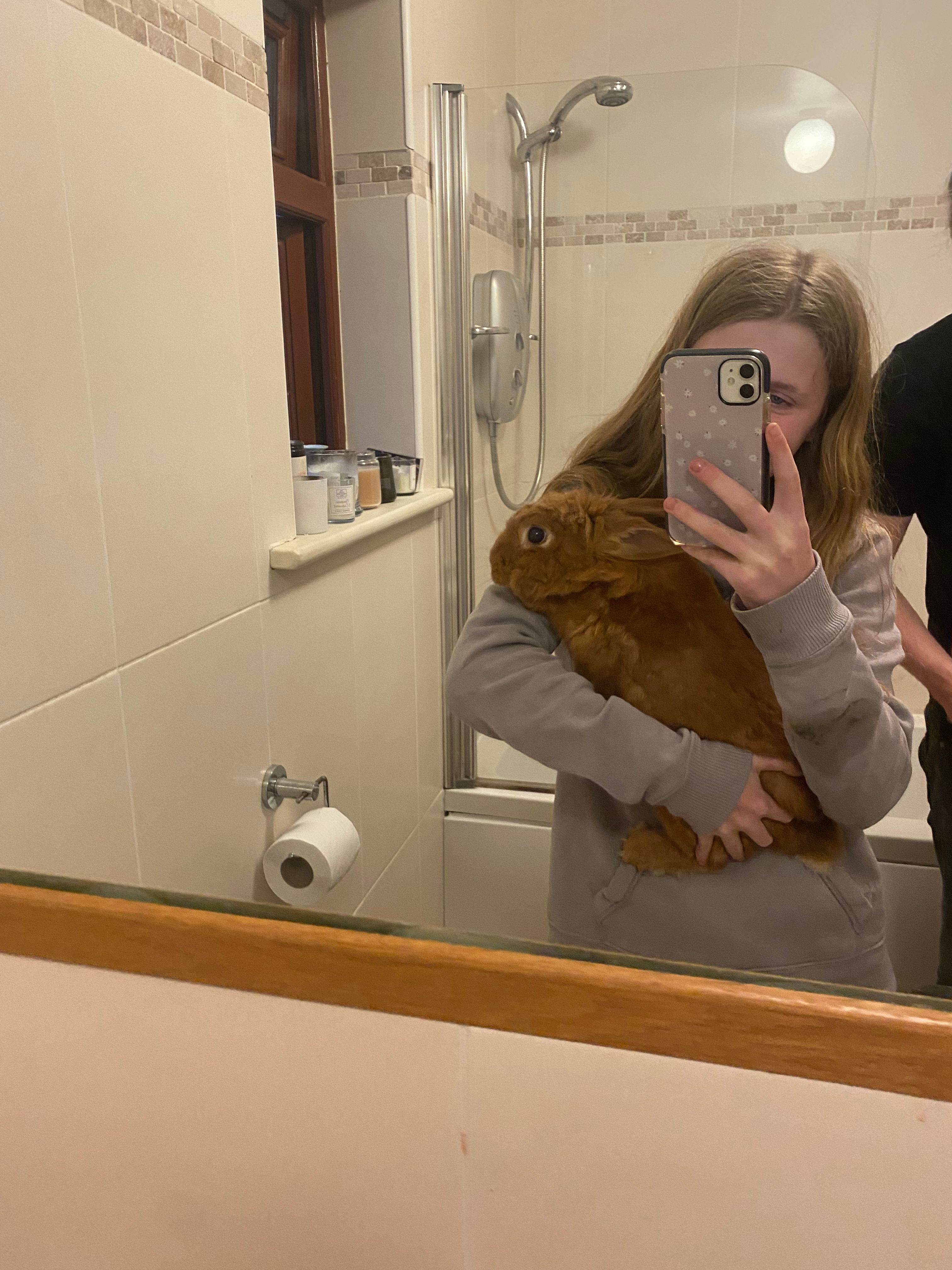 image-9