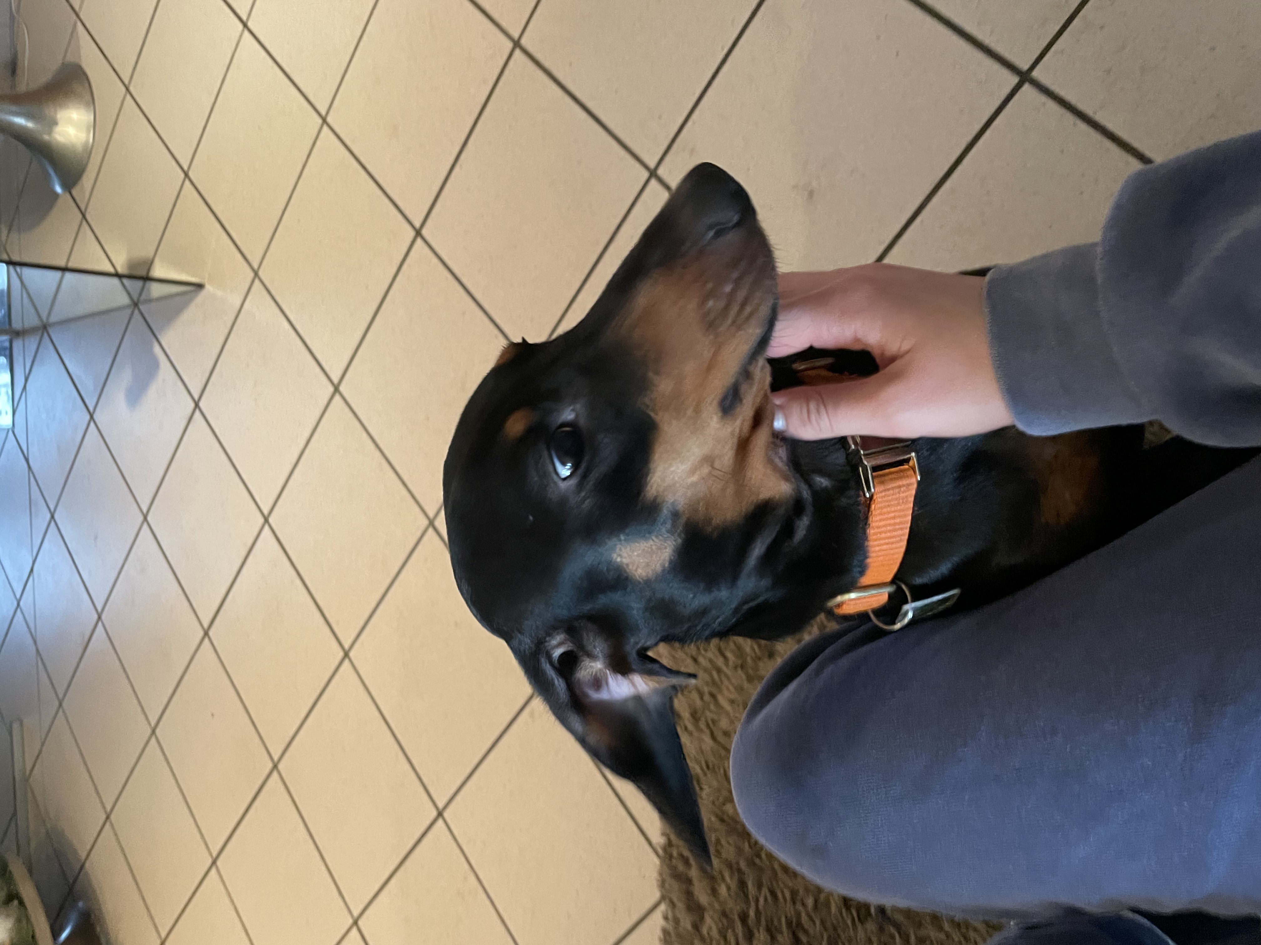 image-9