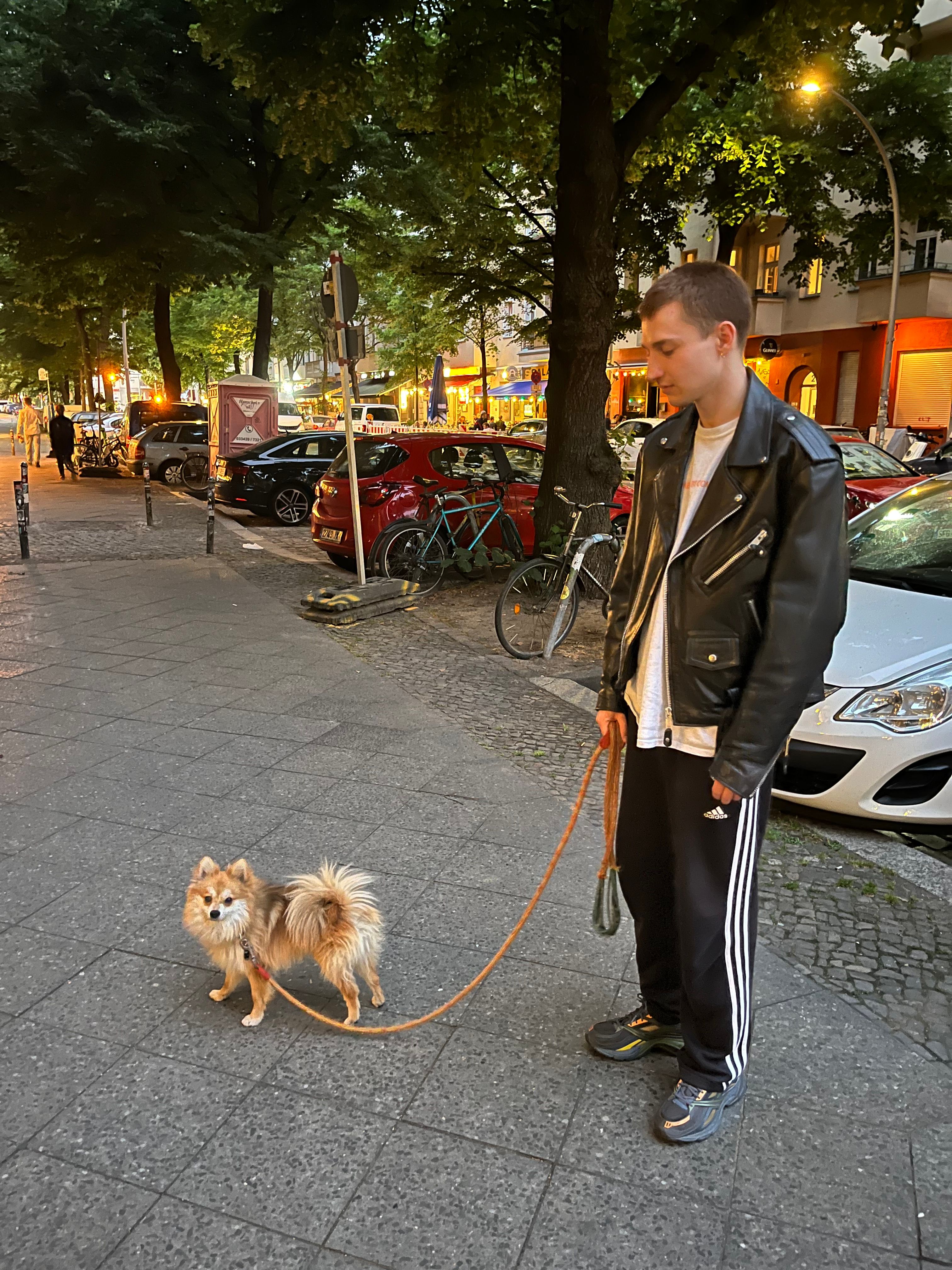 image-15