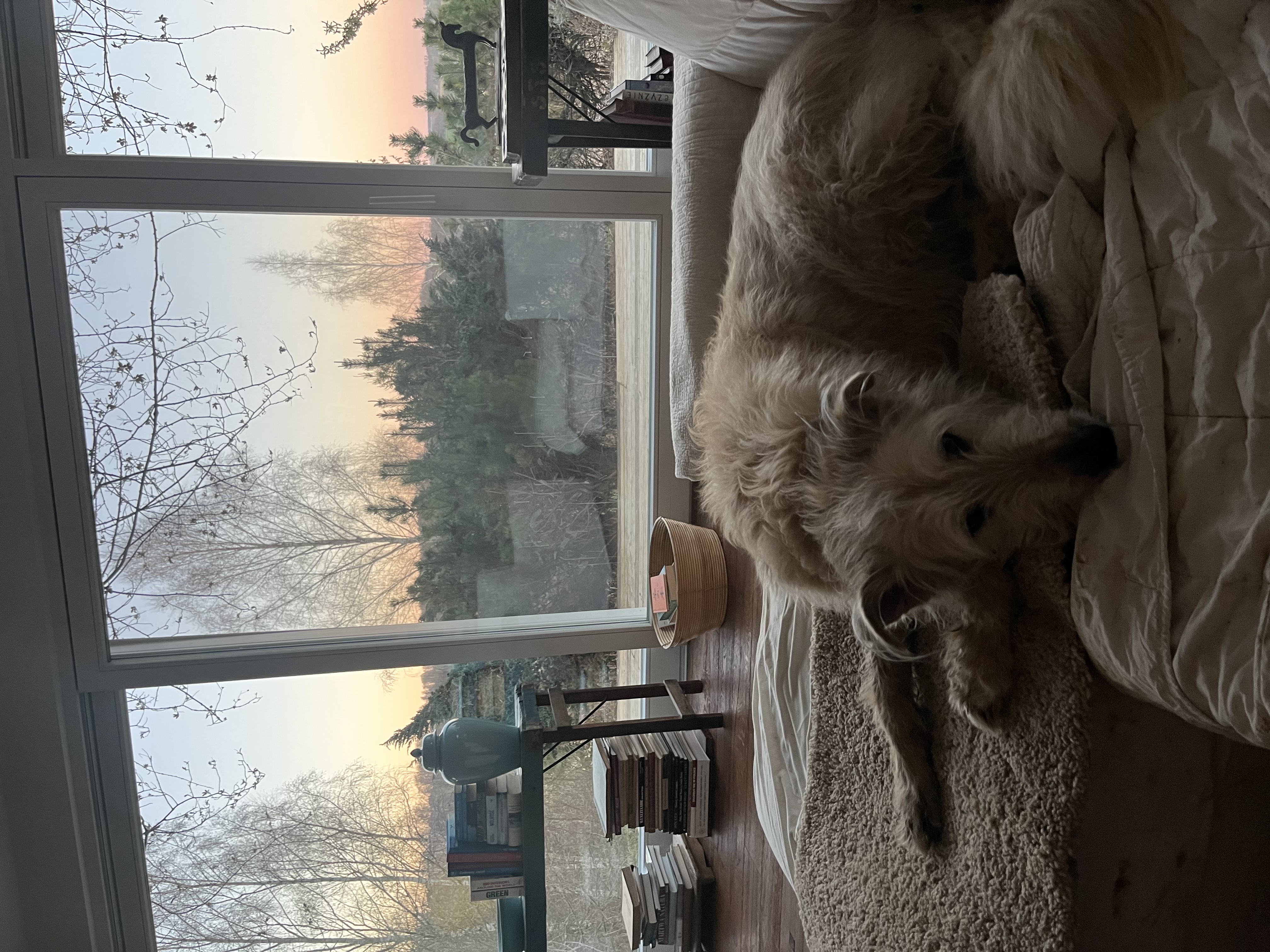 image-8
