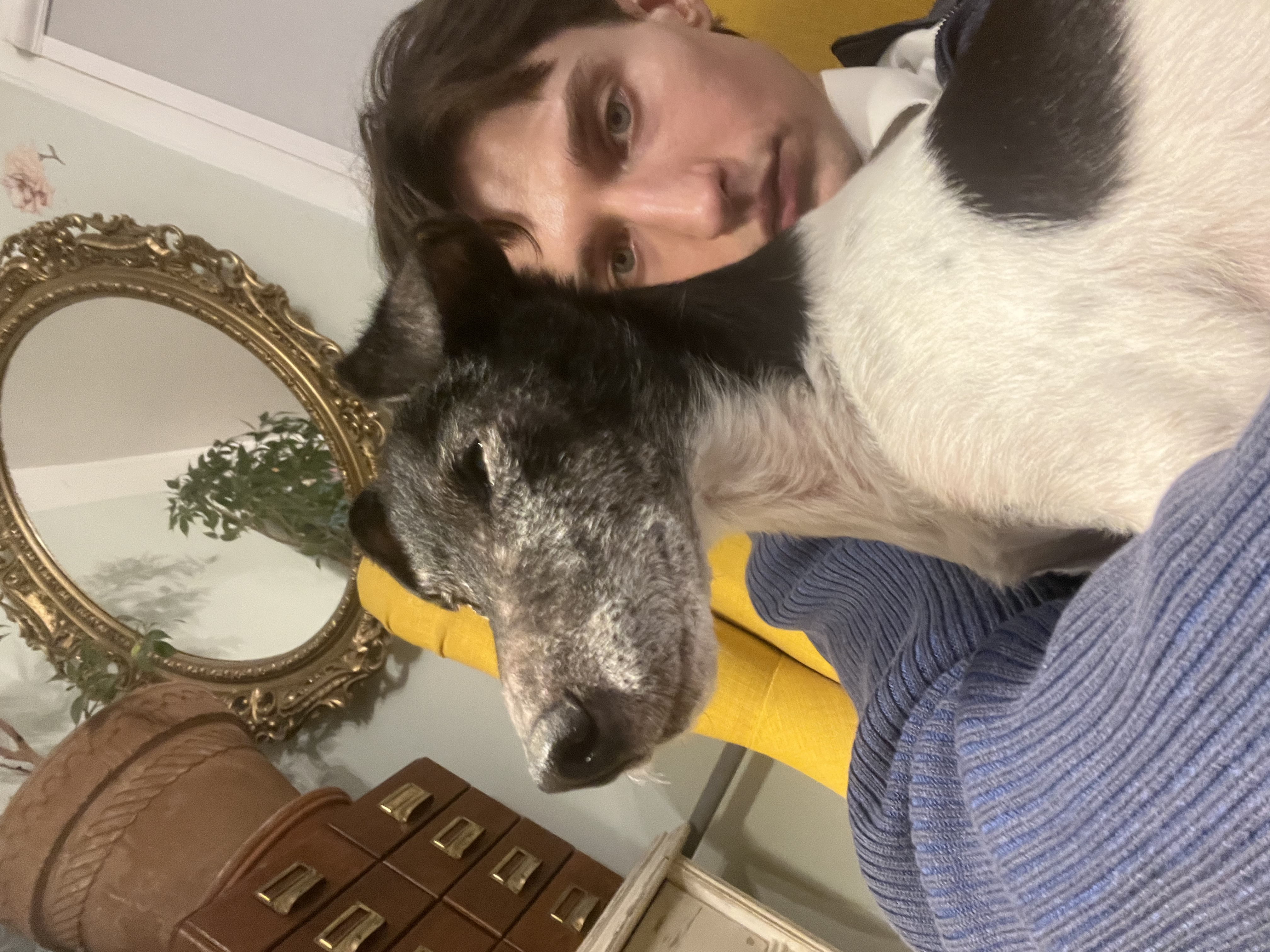 image-6