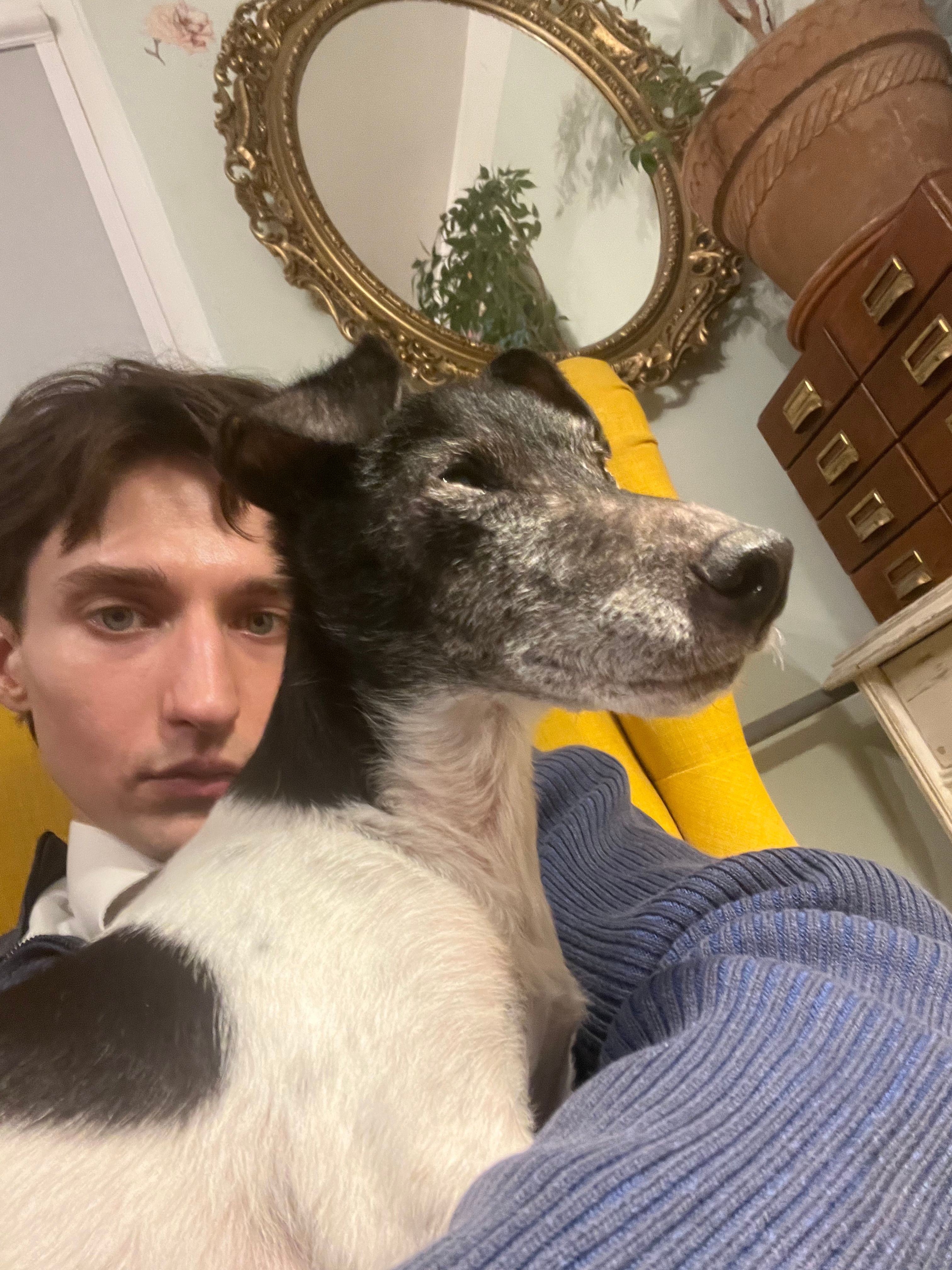 image-6