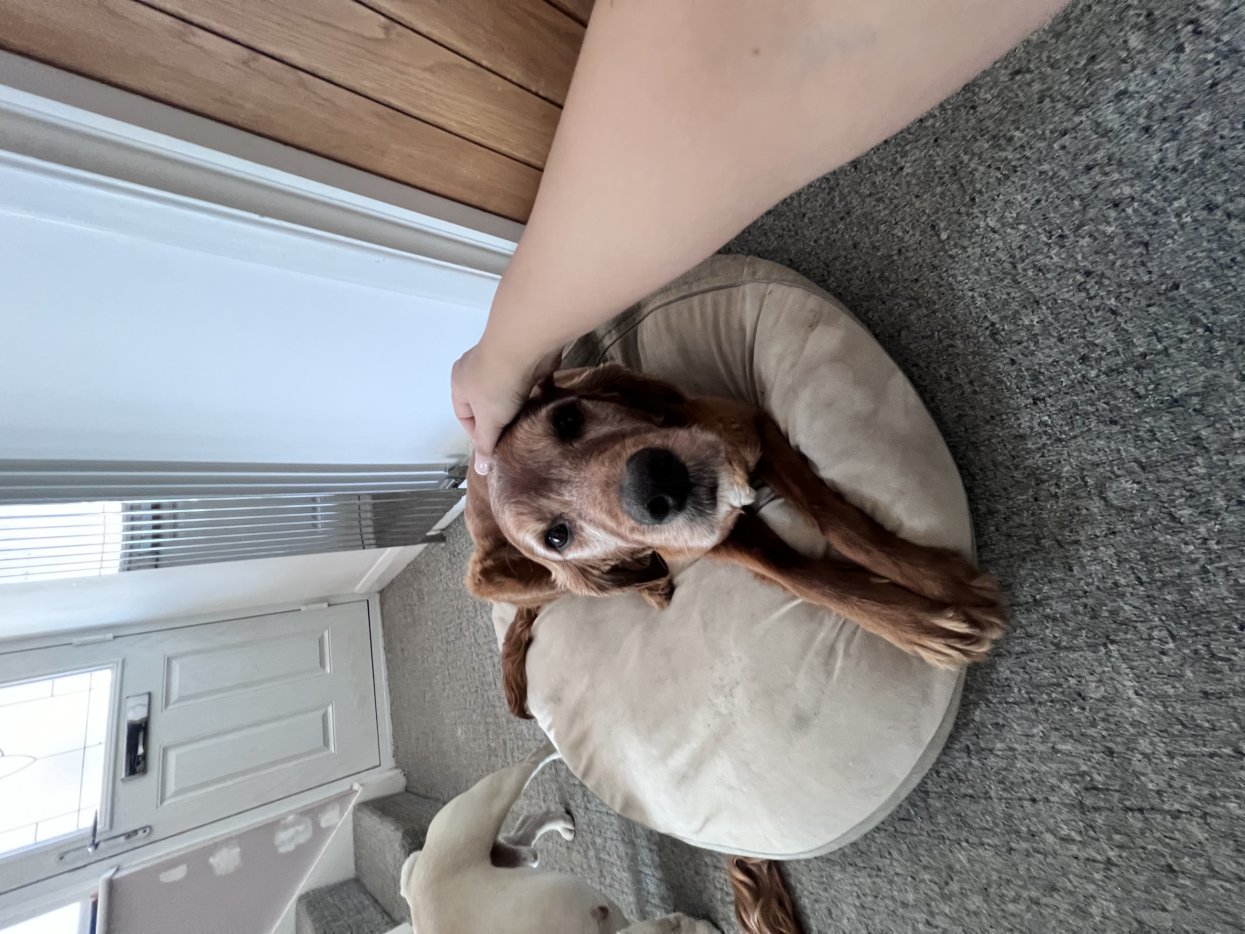 image-8