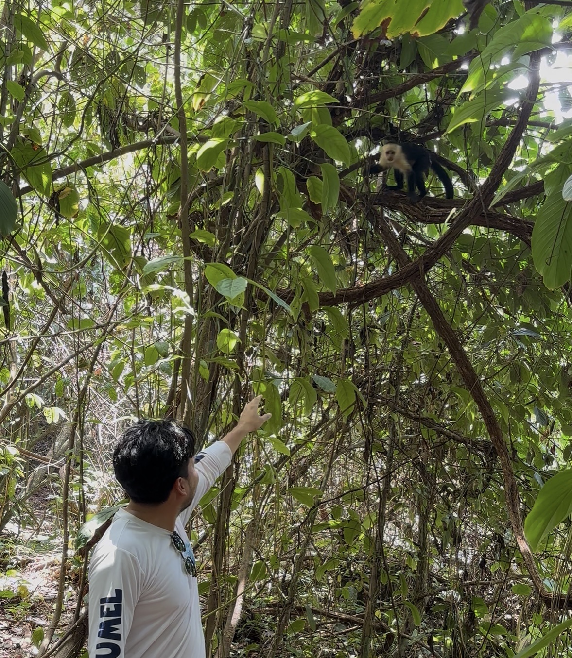 image-3