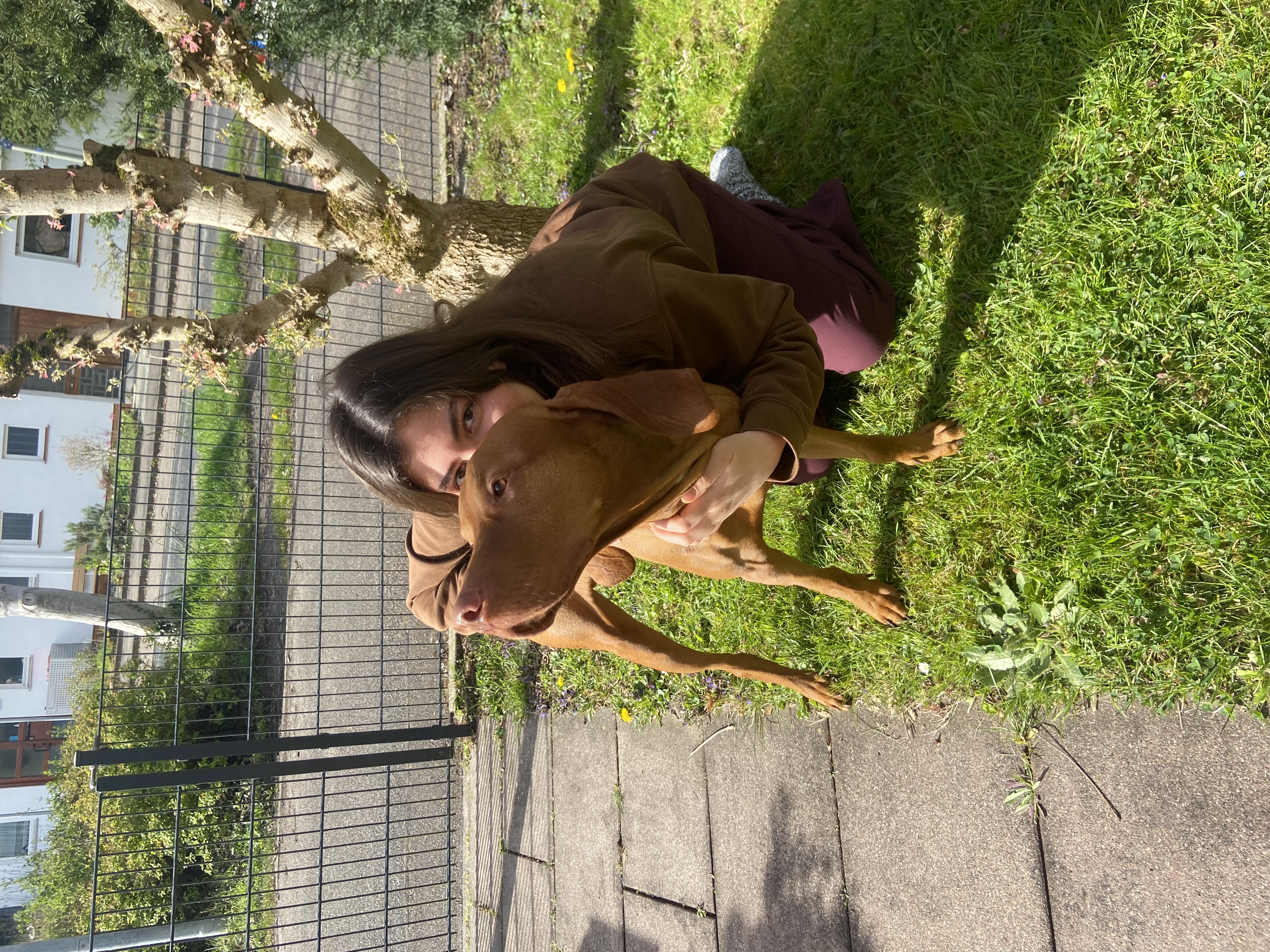 image-15