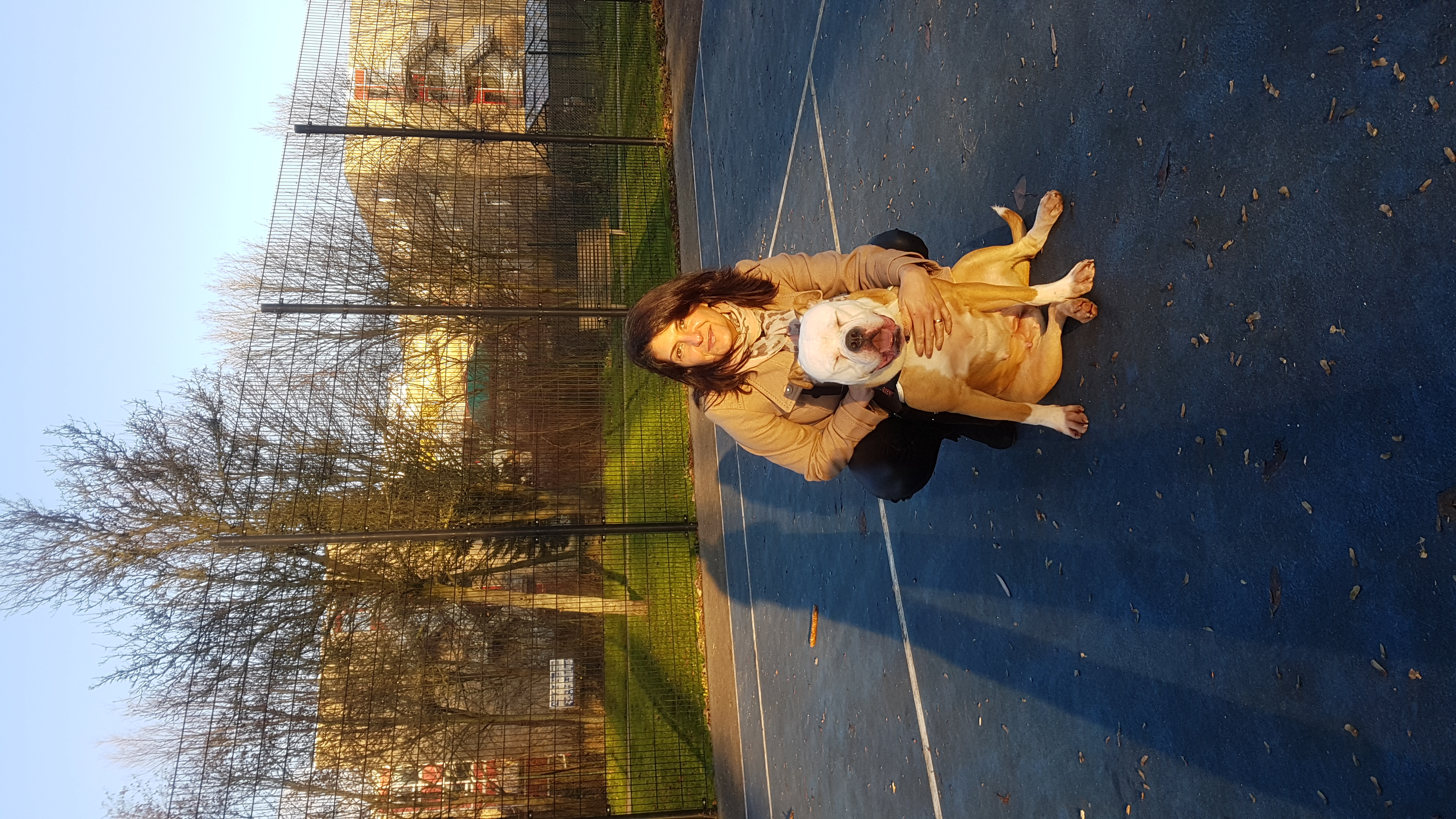 image-7