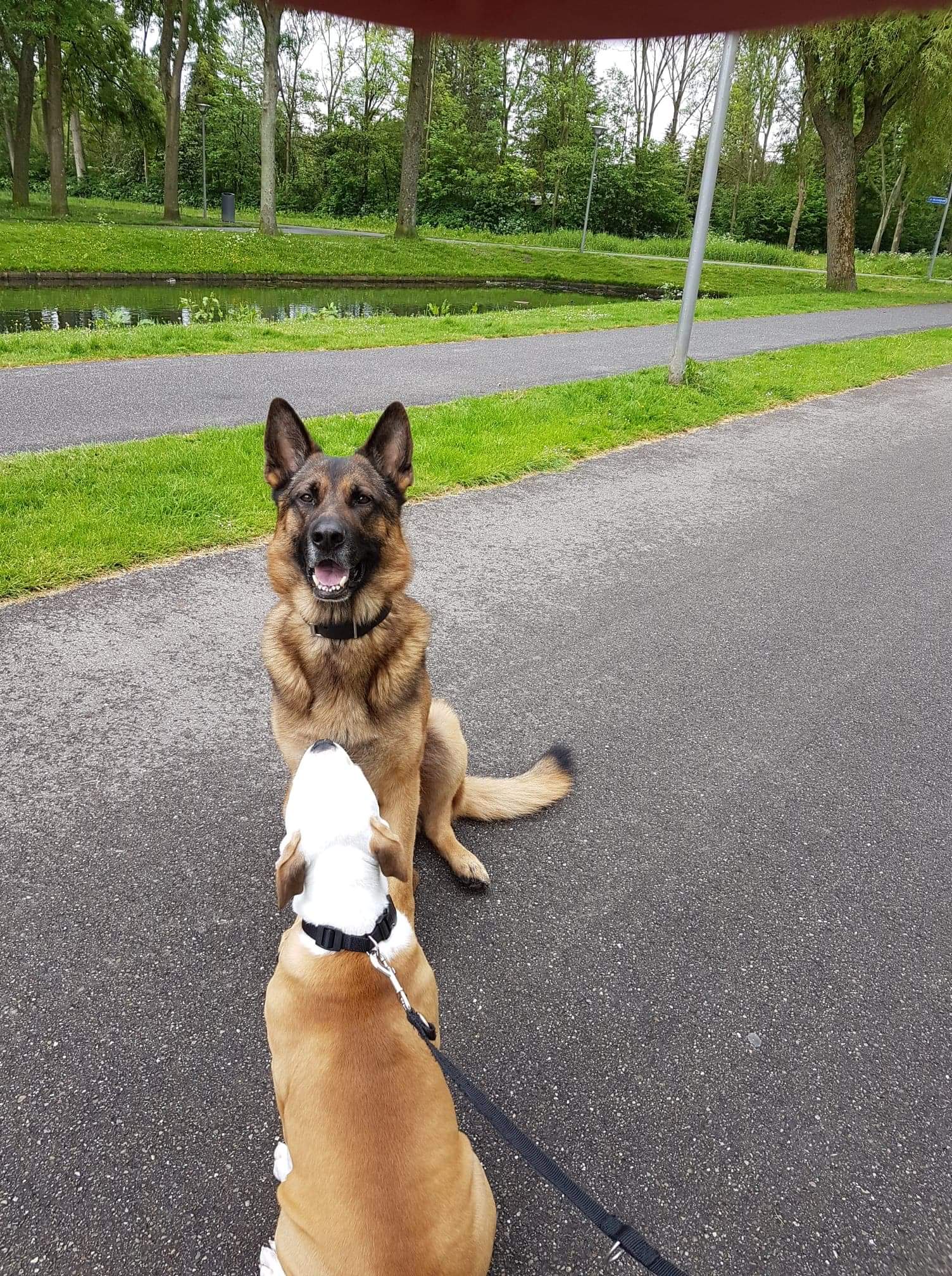 image-10
