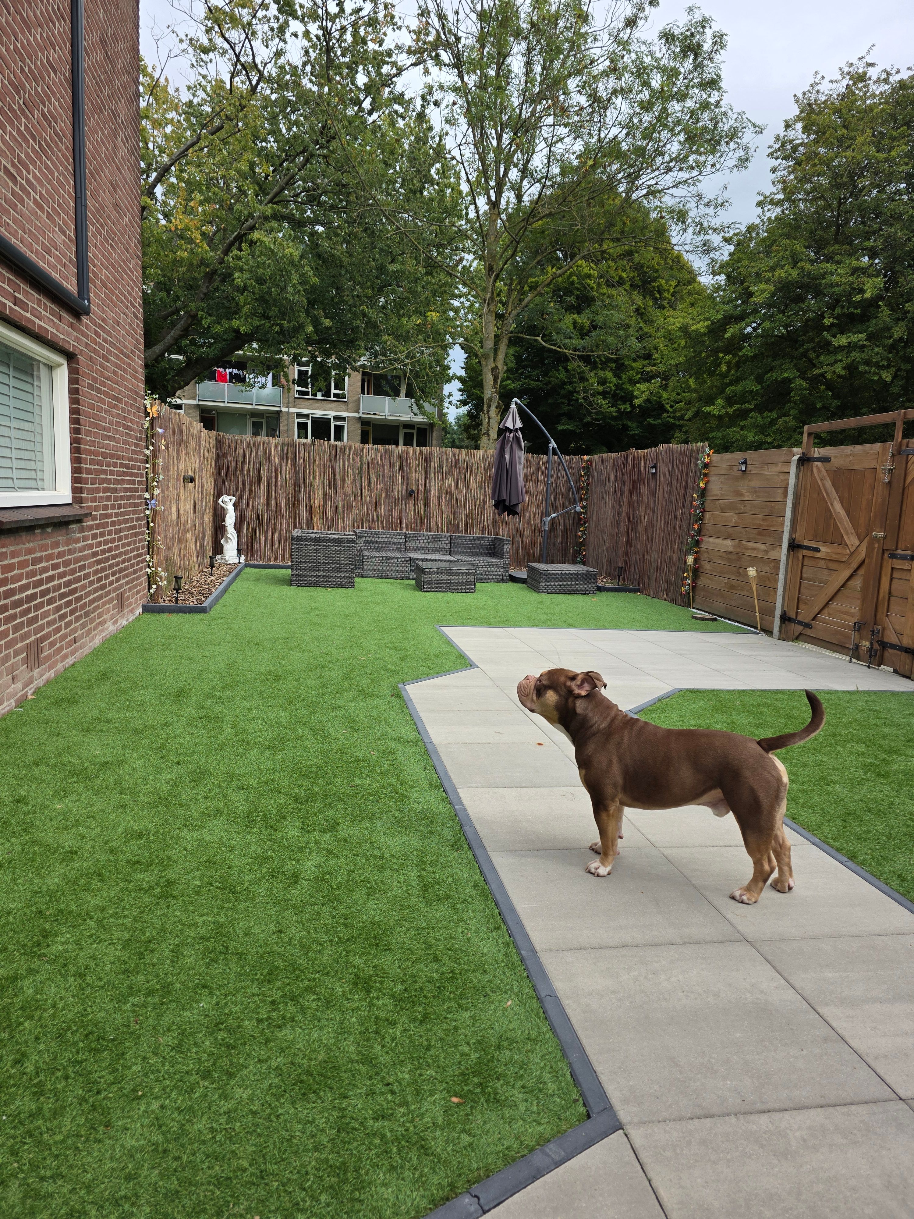 image-19