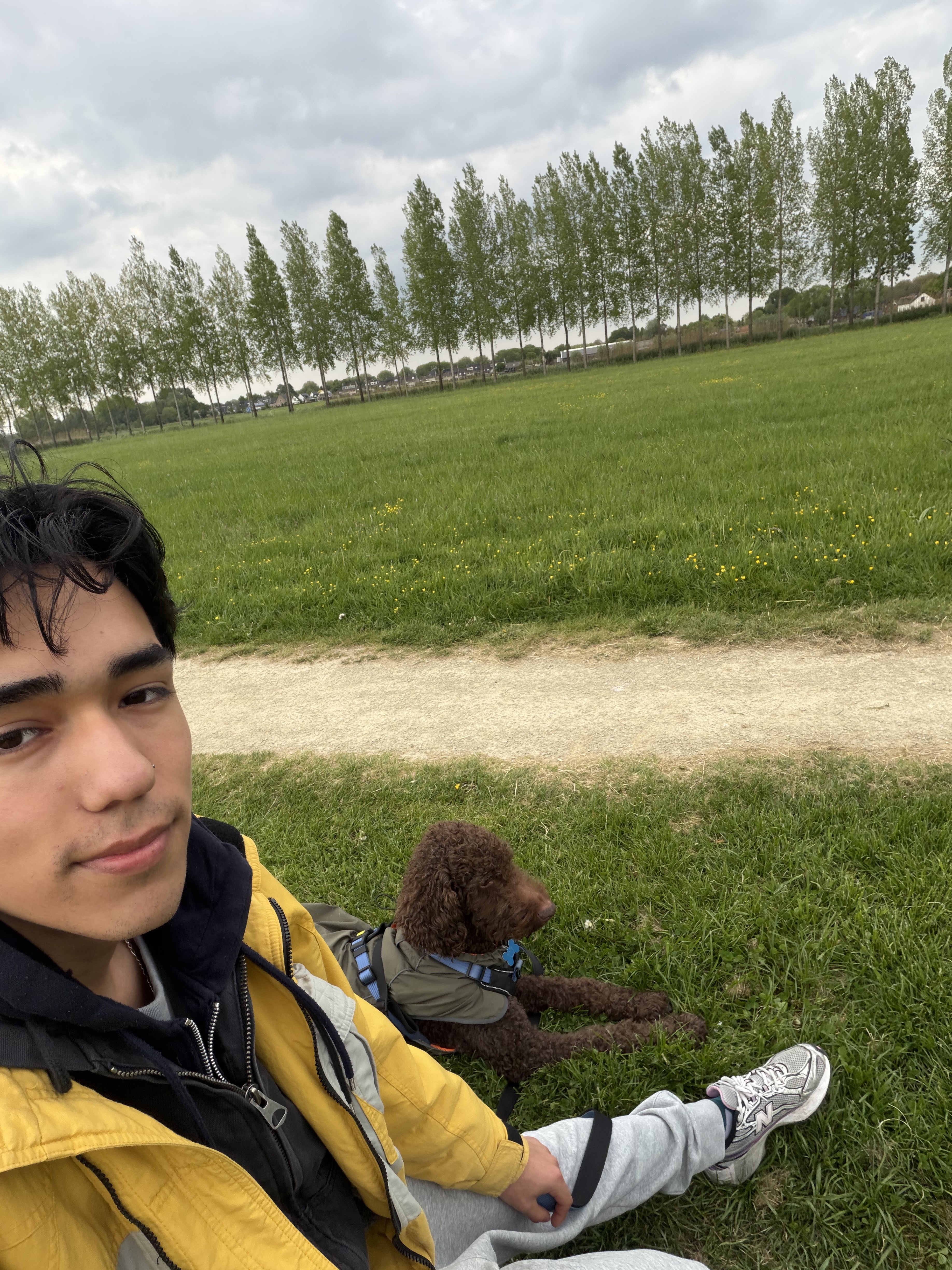 image-8