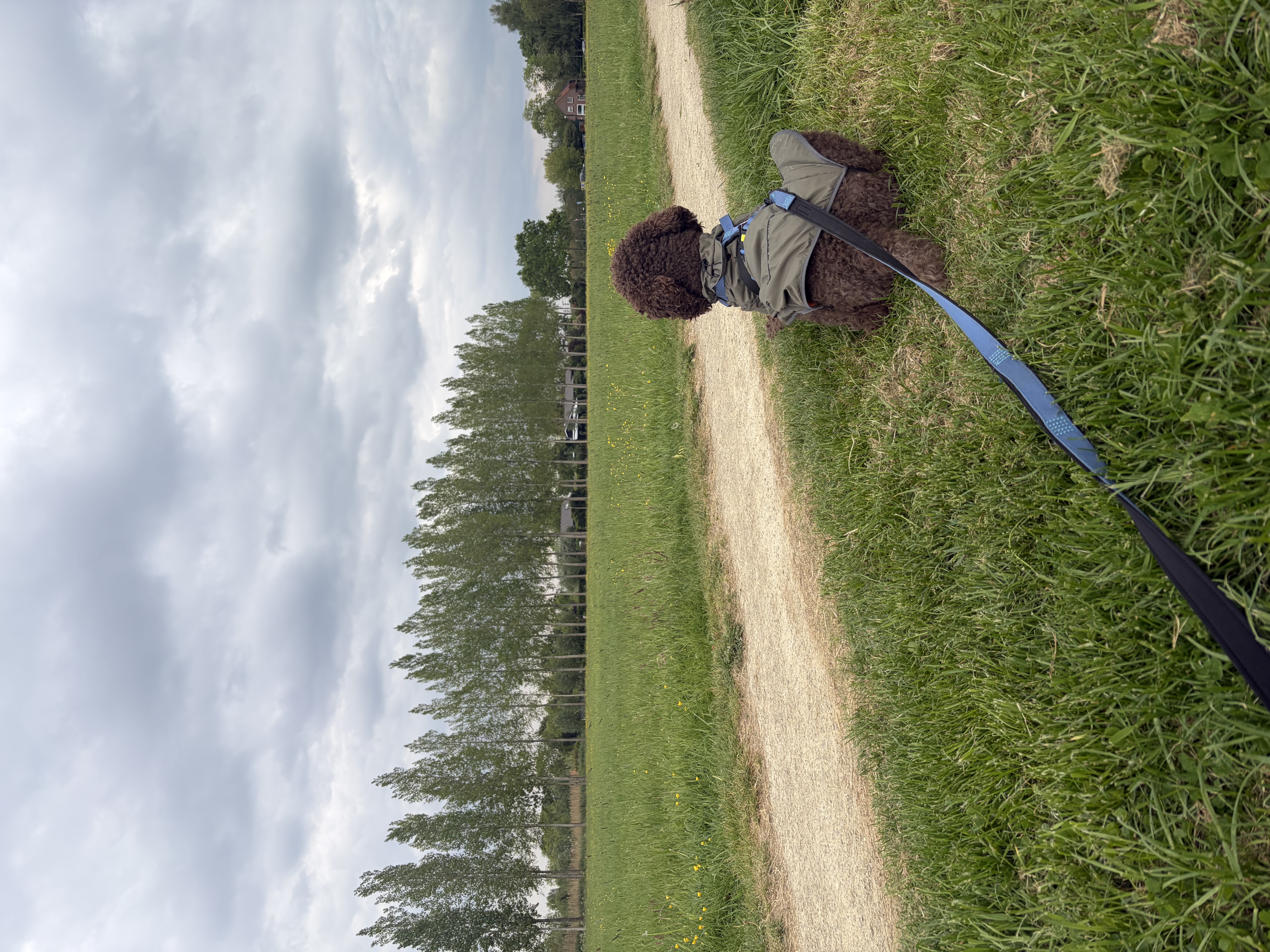 image-15