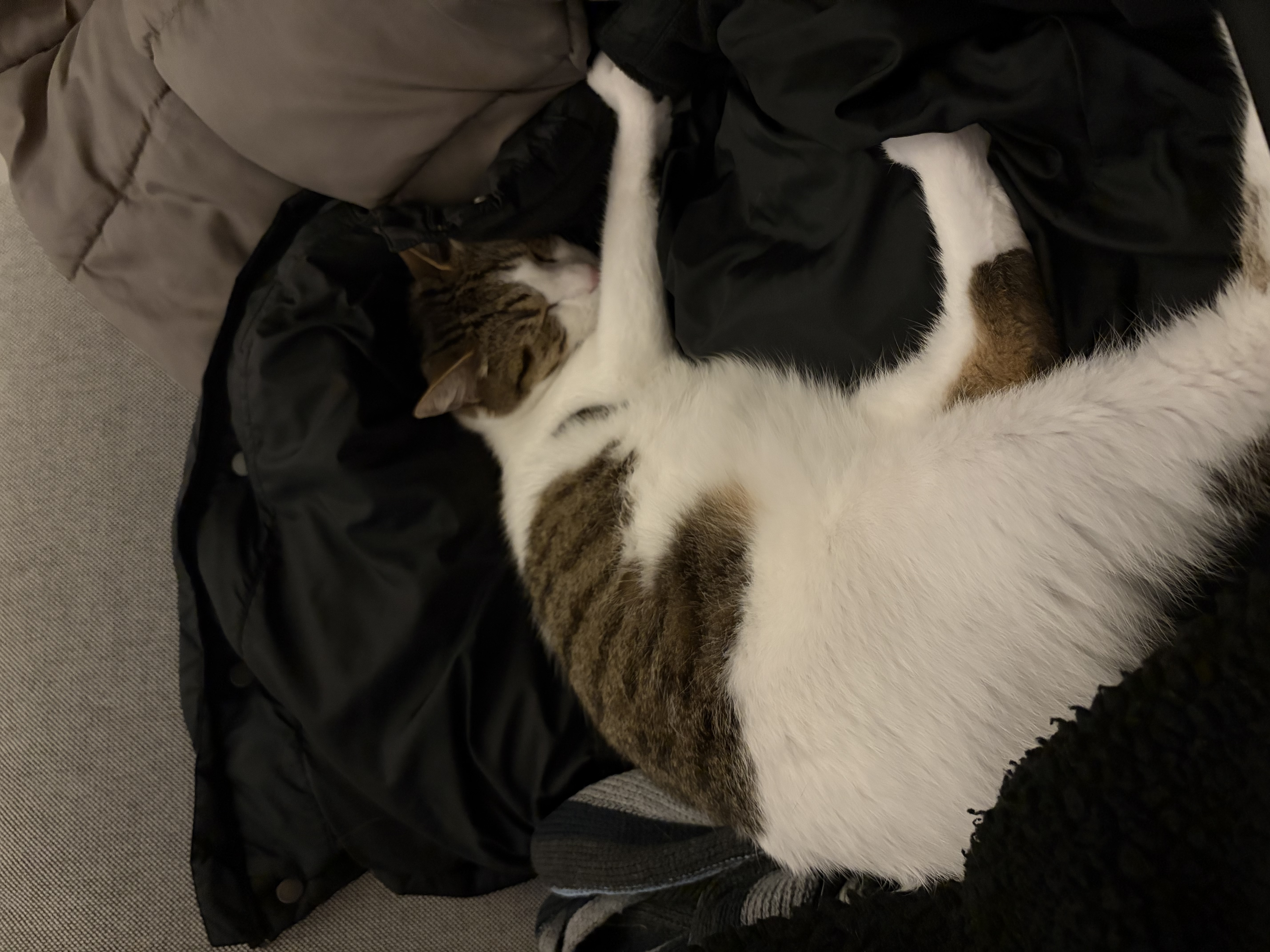 image-9