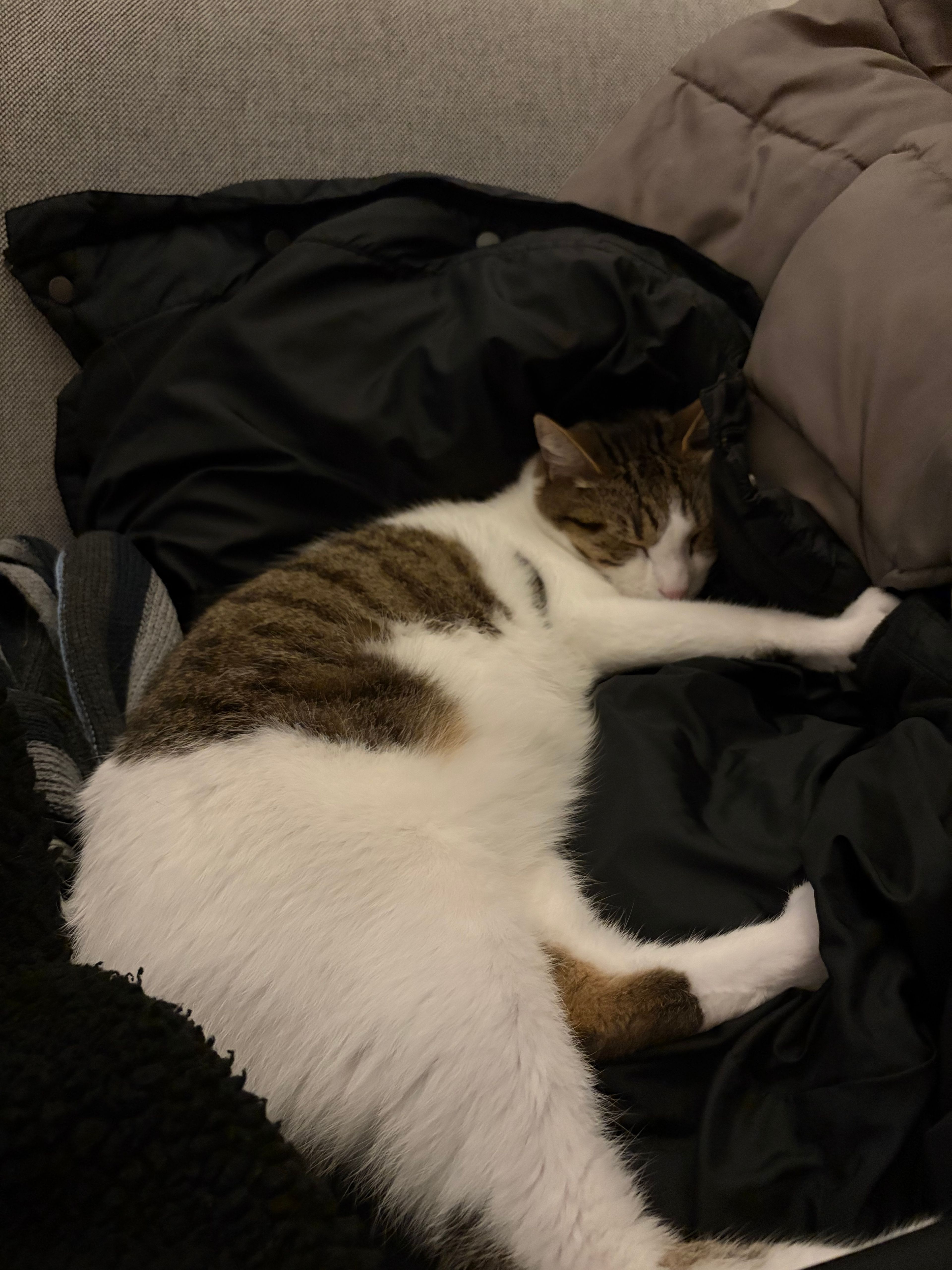 image-9