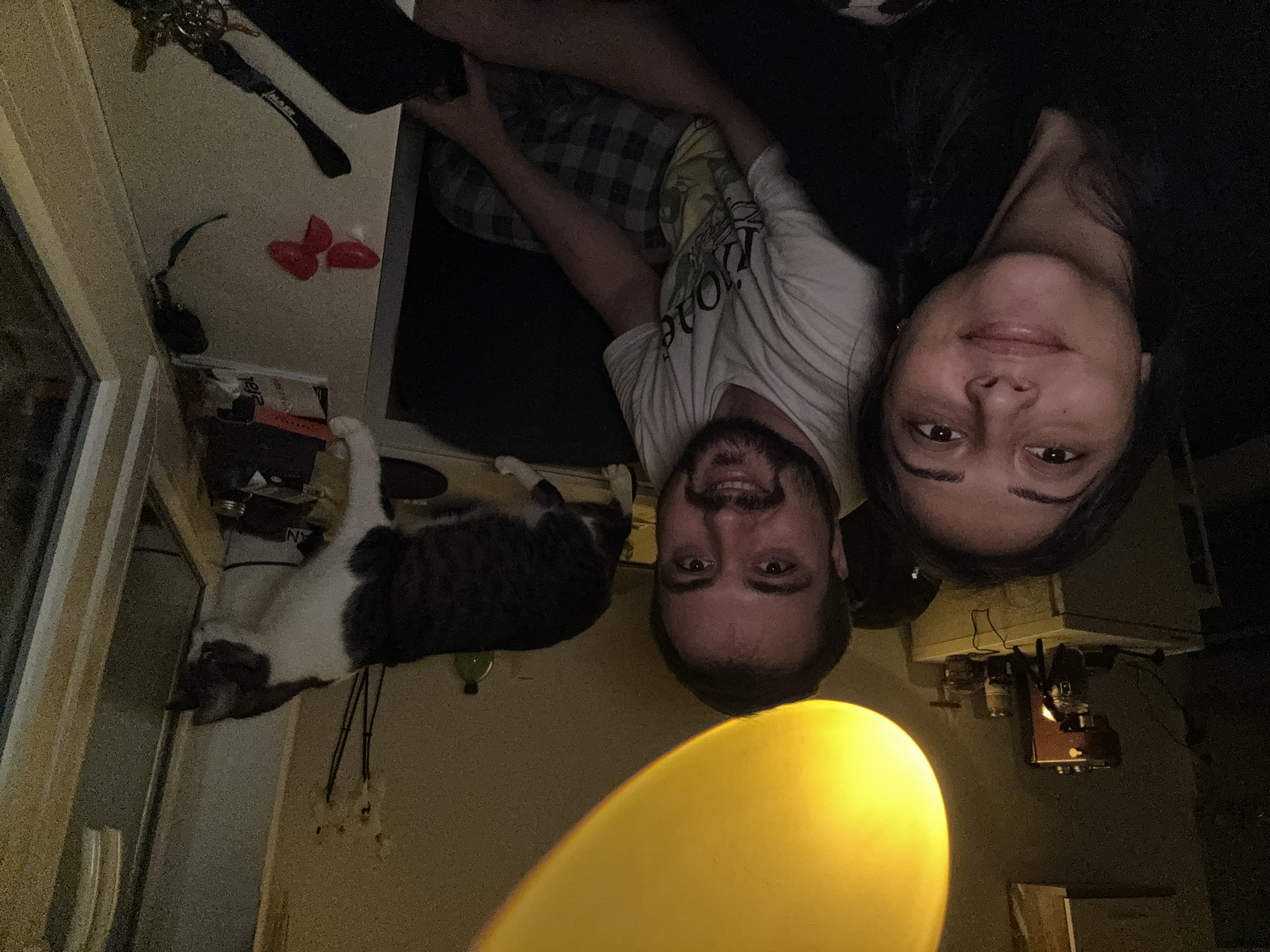 image-6