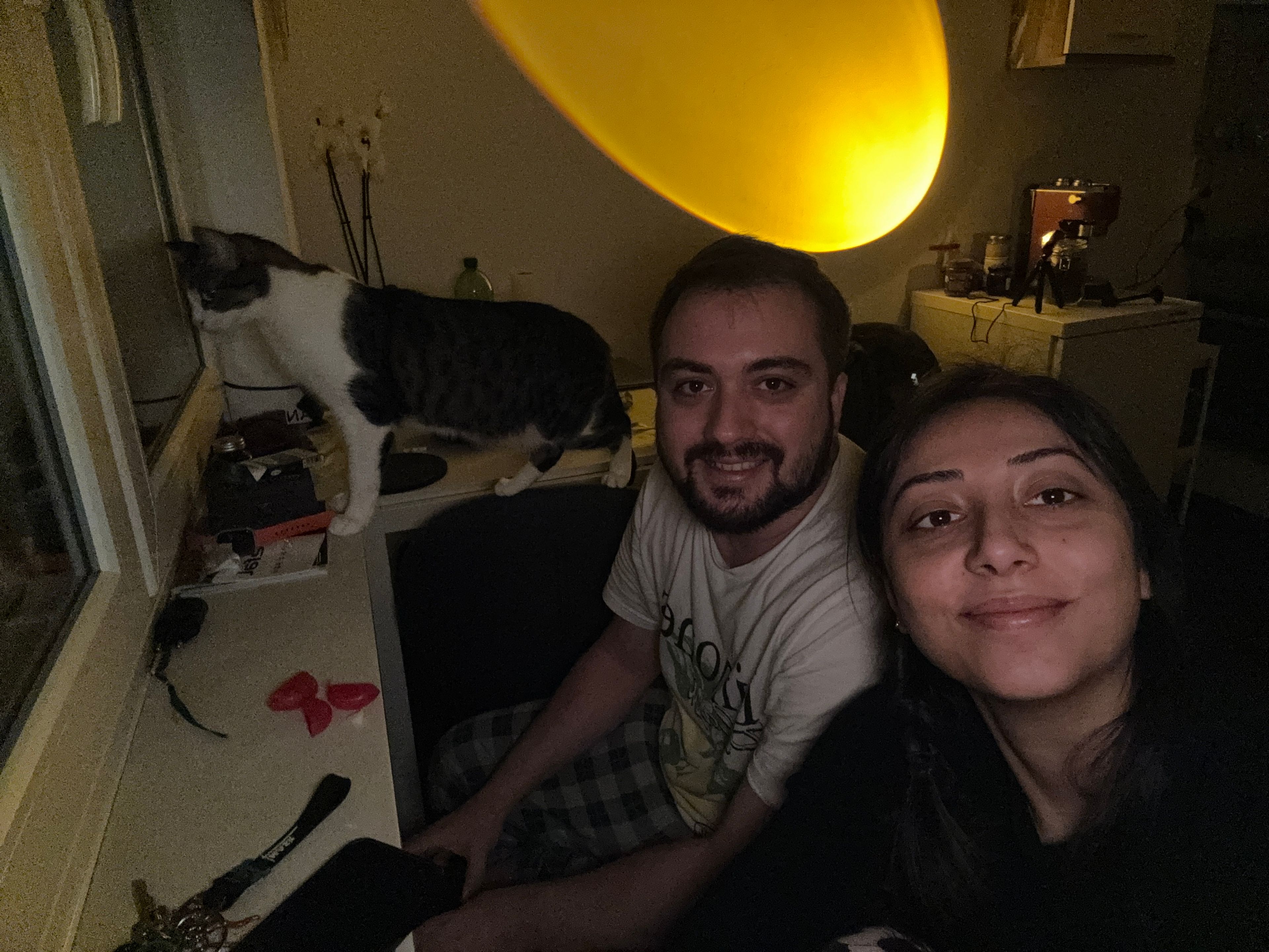 image-6
