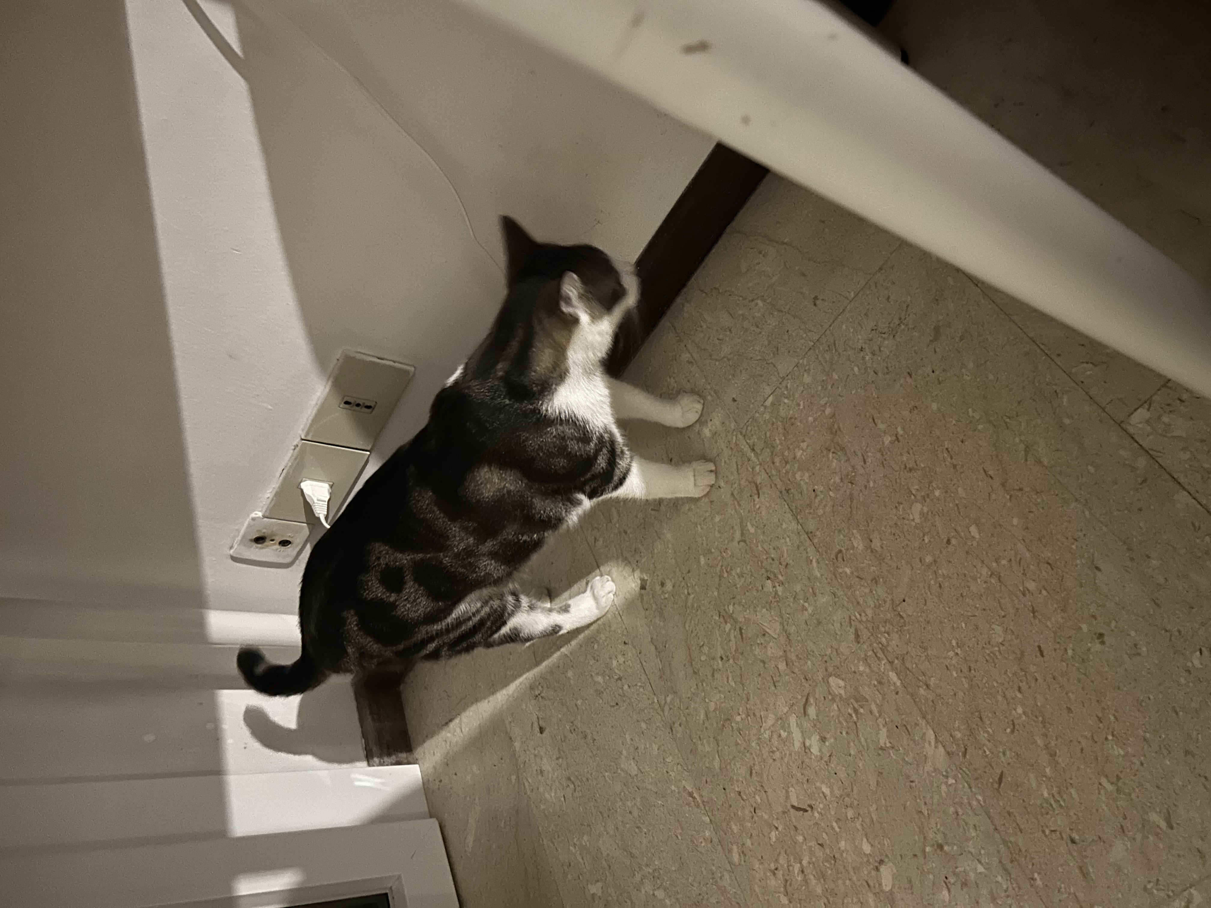 image-8
