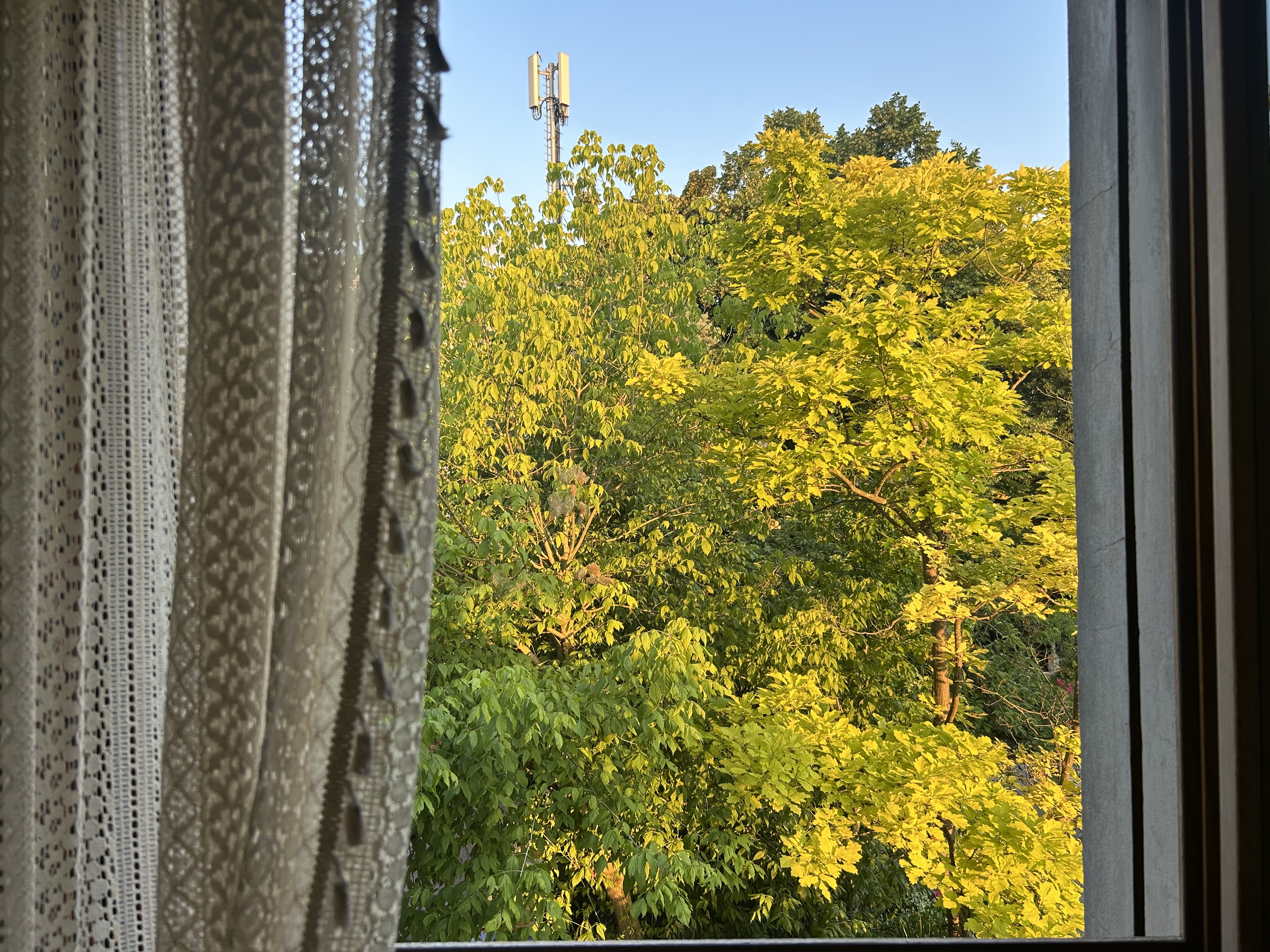 image-16