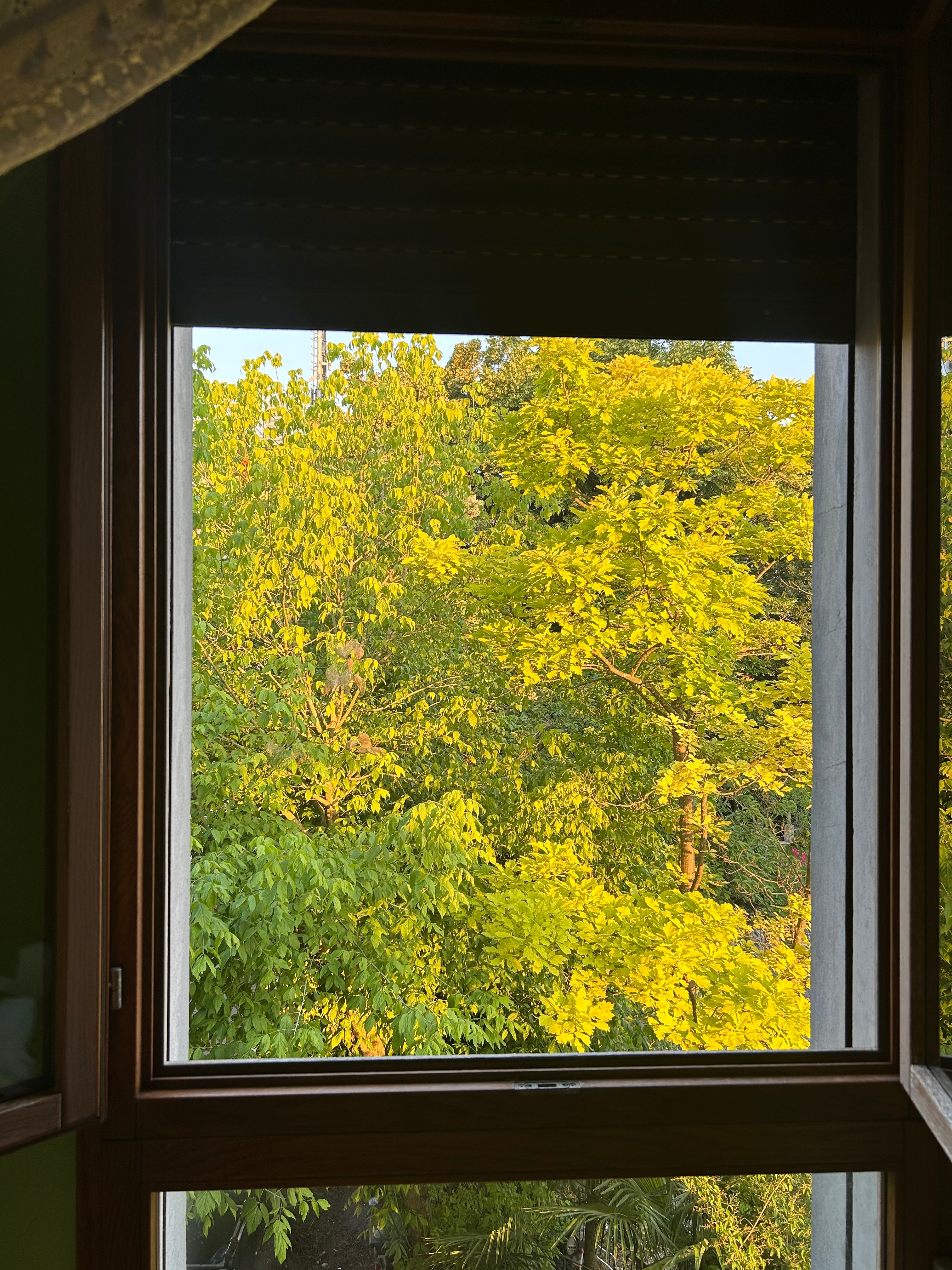 image-17