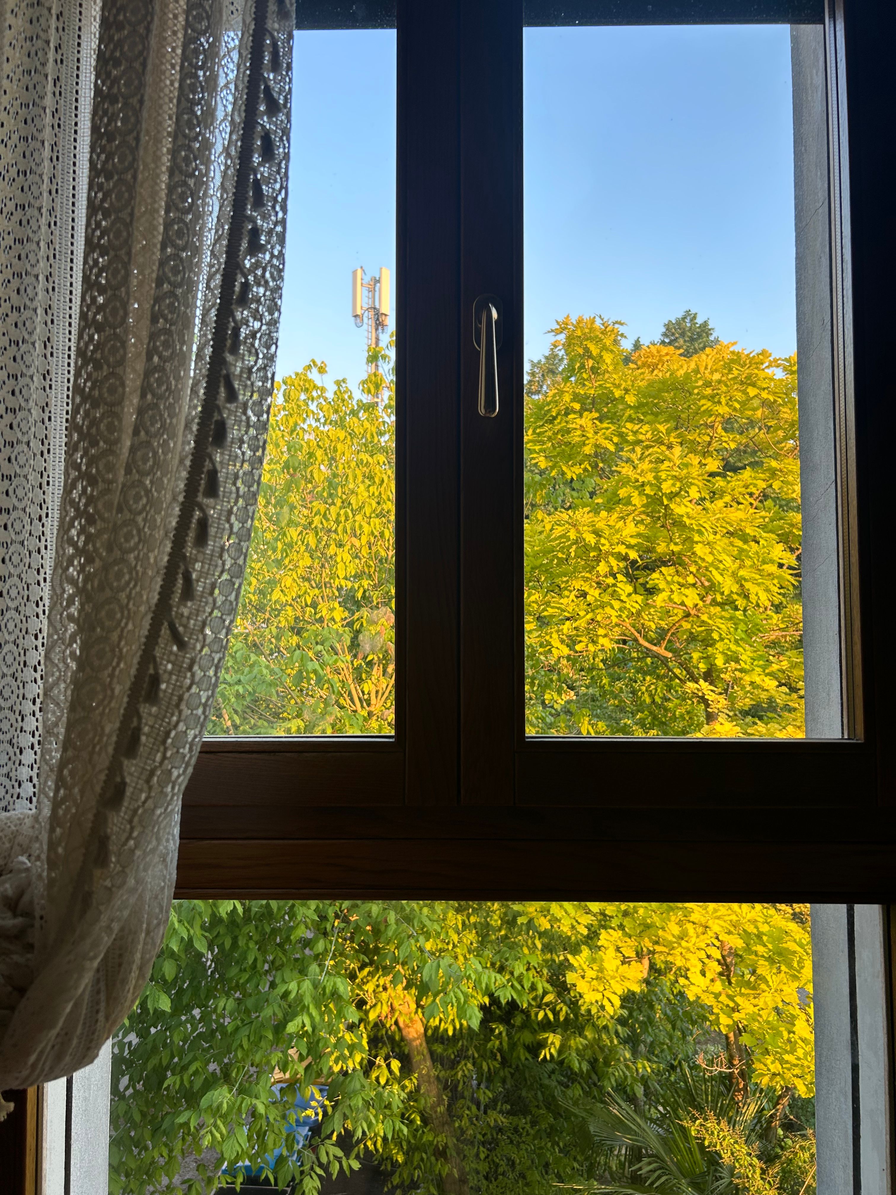 image-18