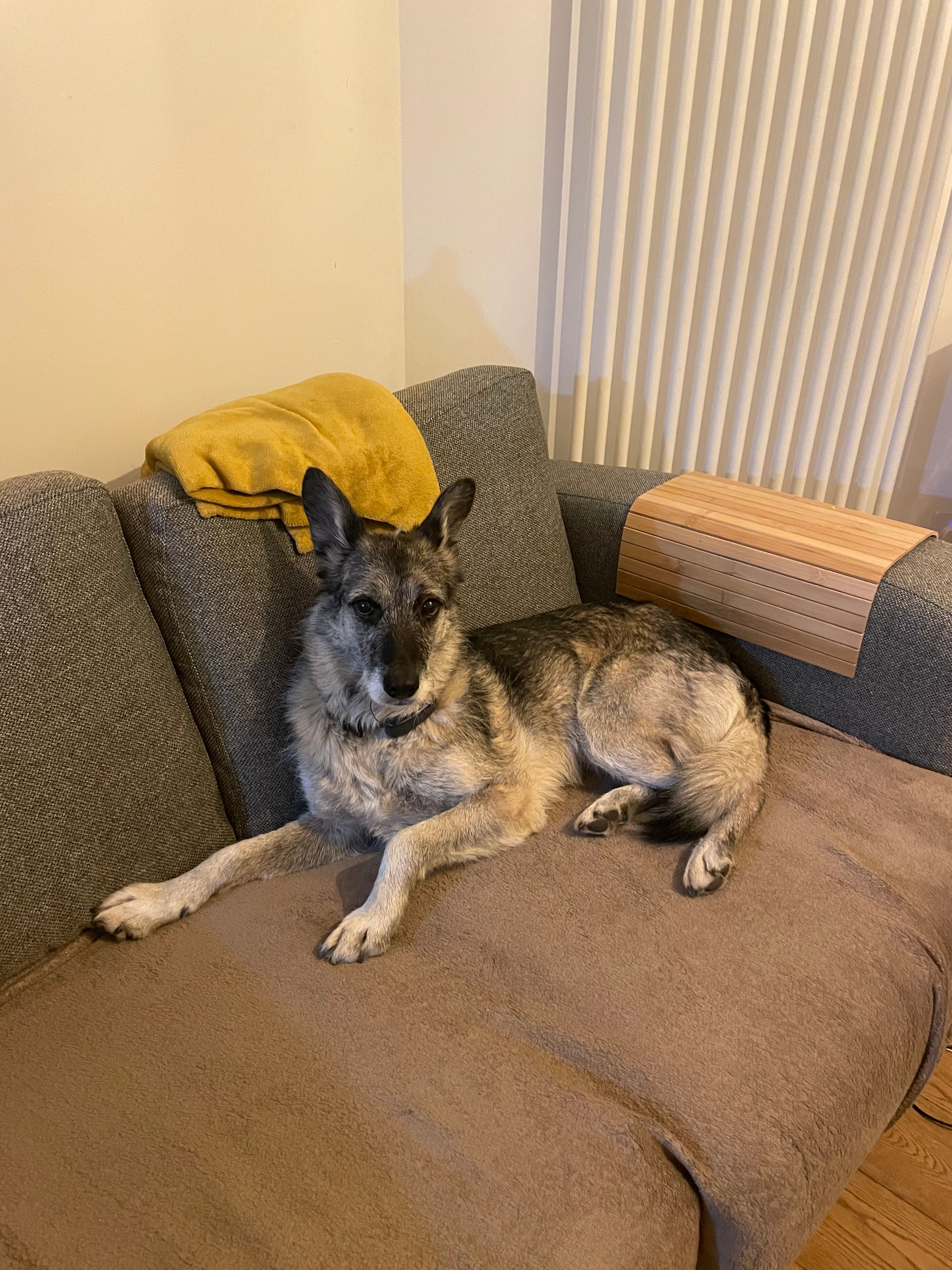 image-12