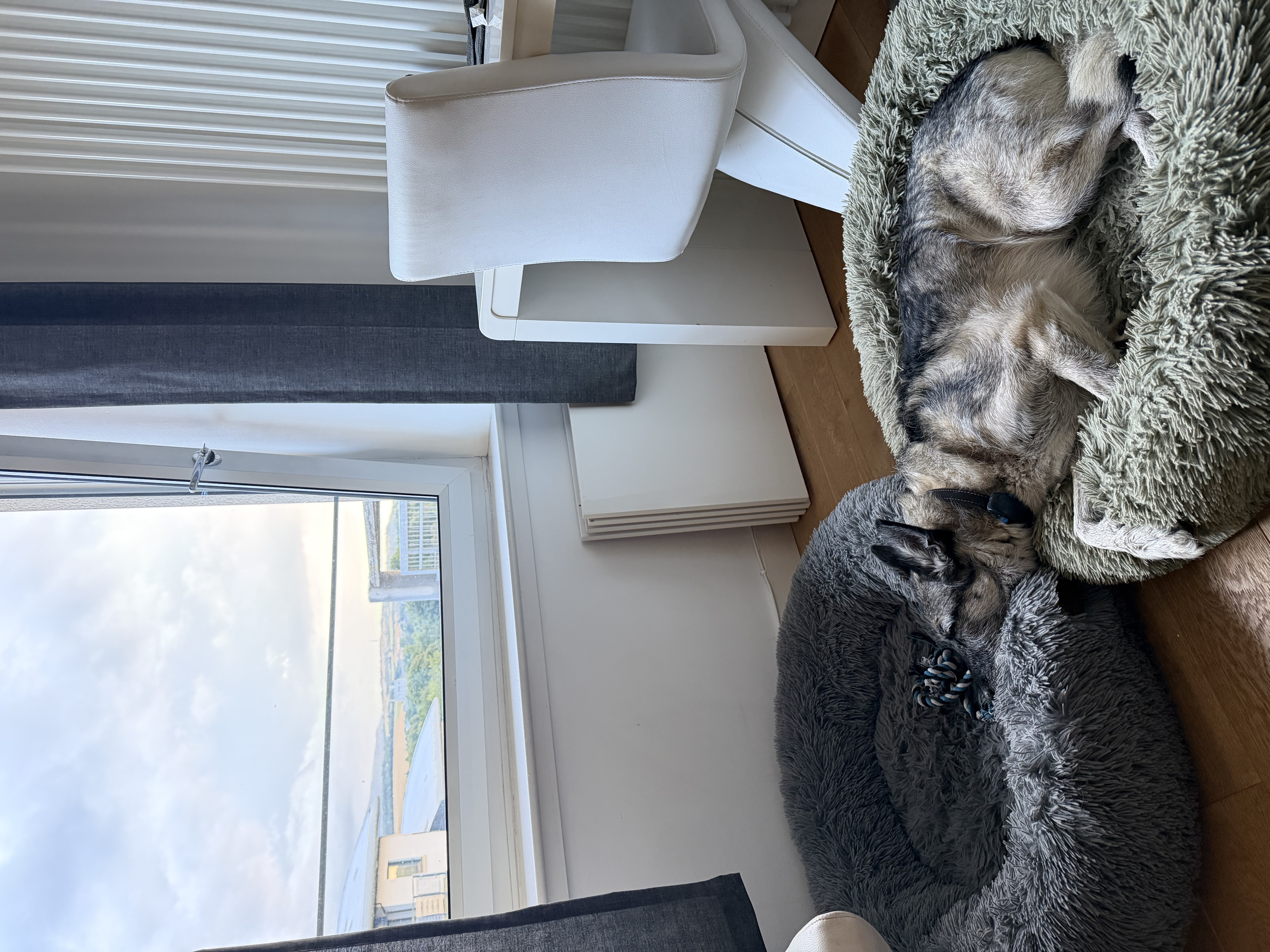 image-10
