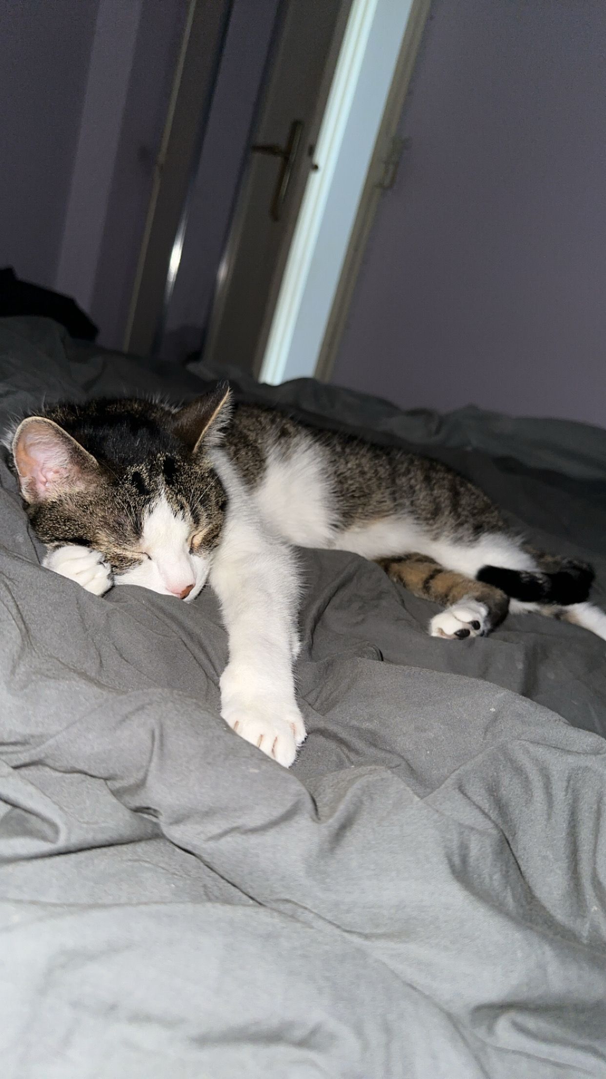 image-5