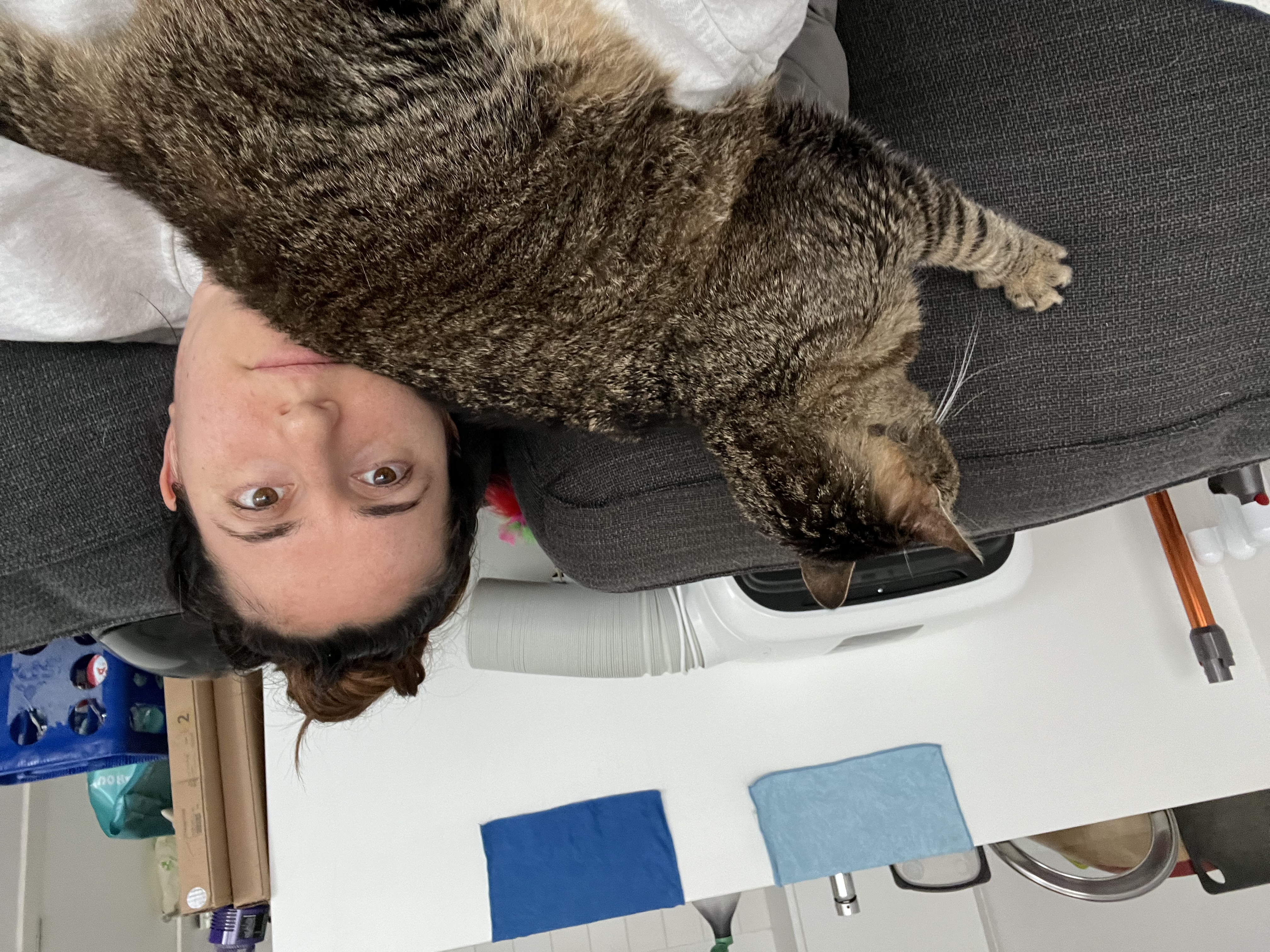 image-1