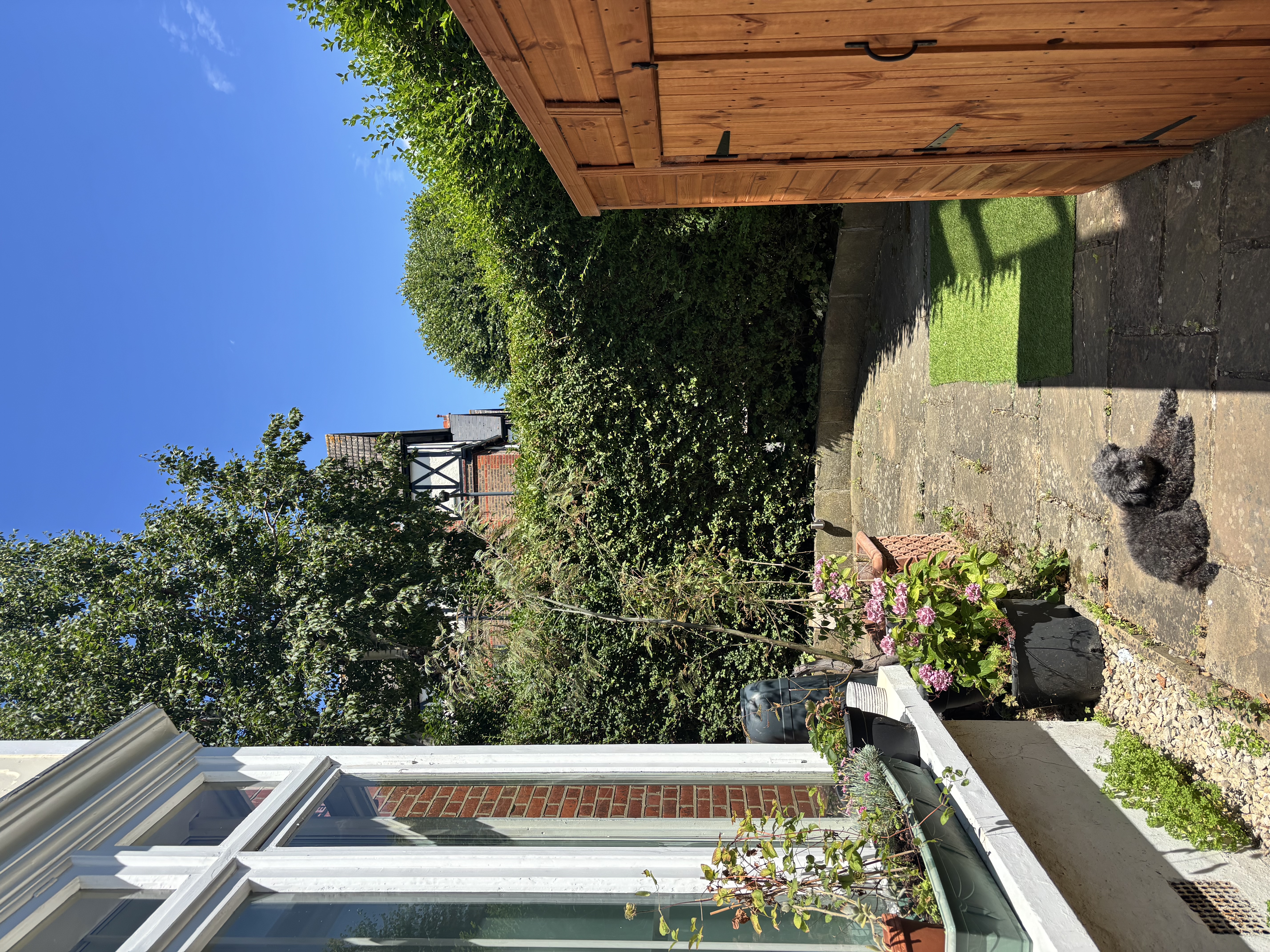 image-12