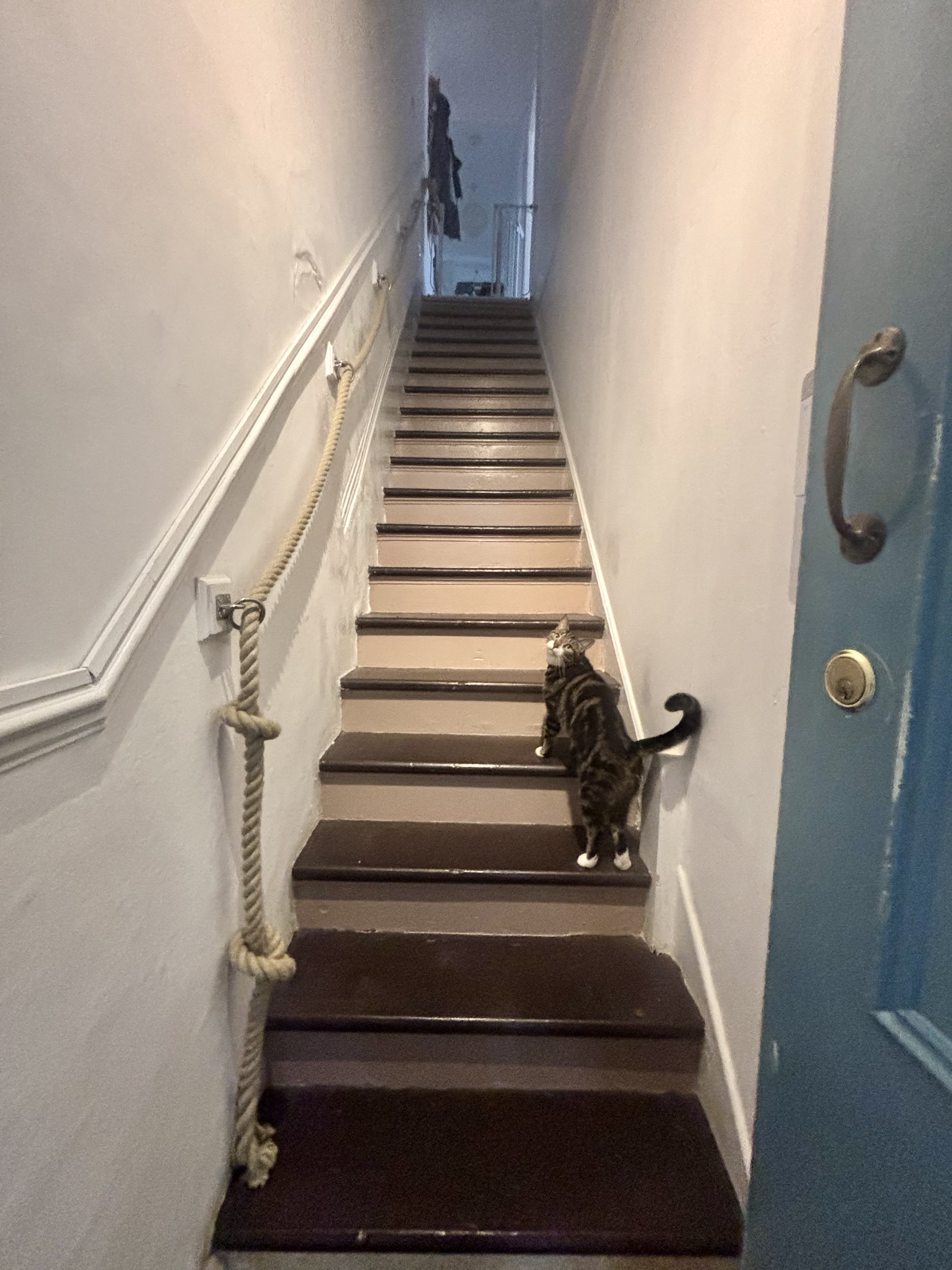 image-14