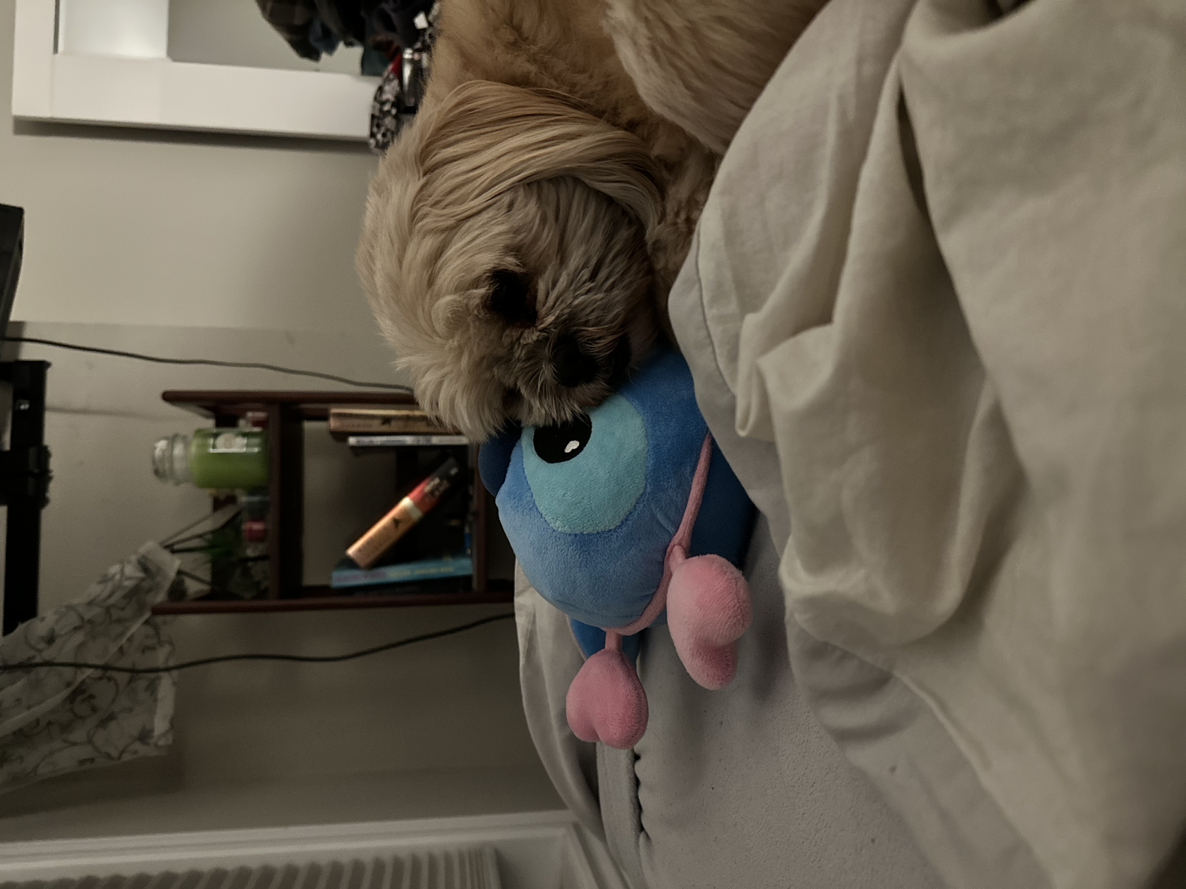 image-7