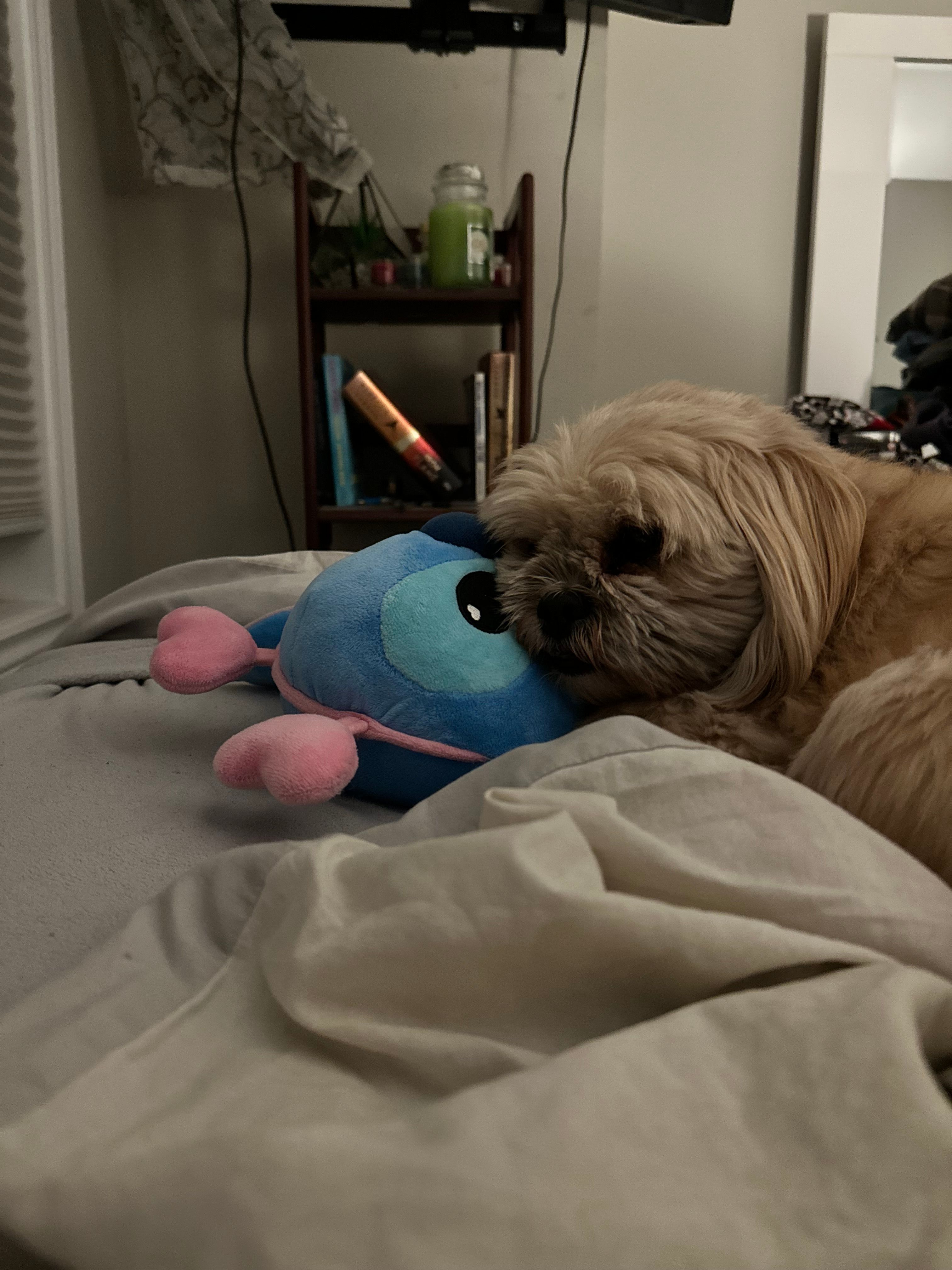 image-7